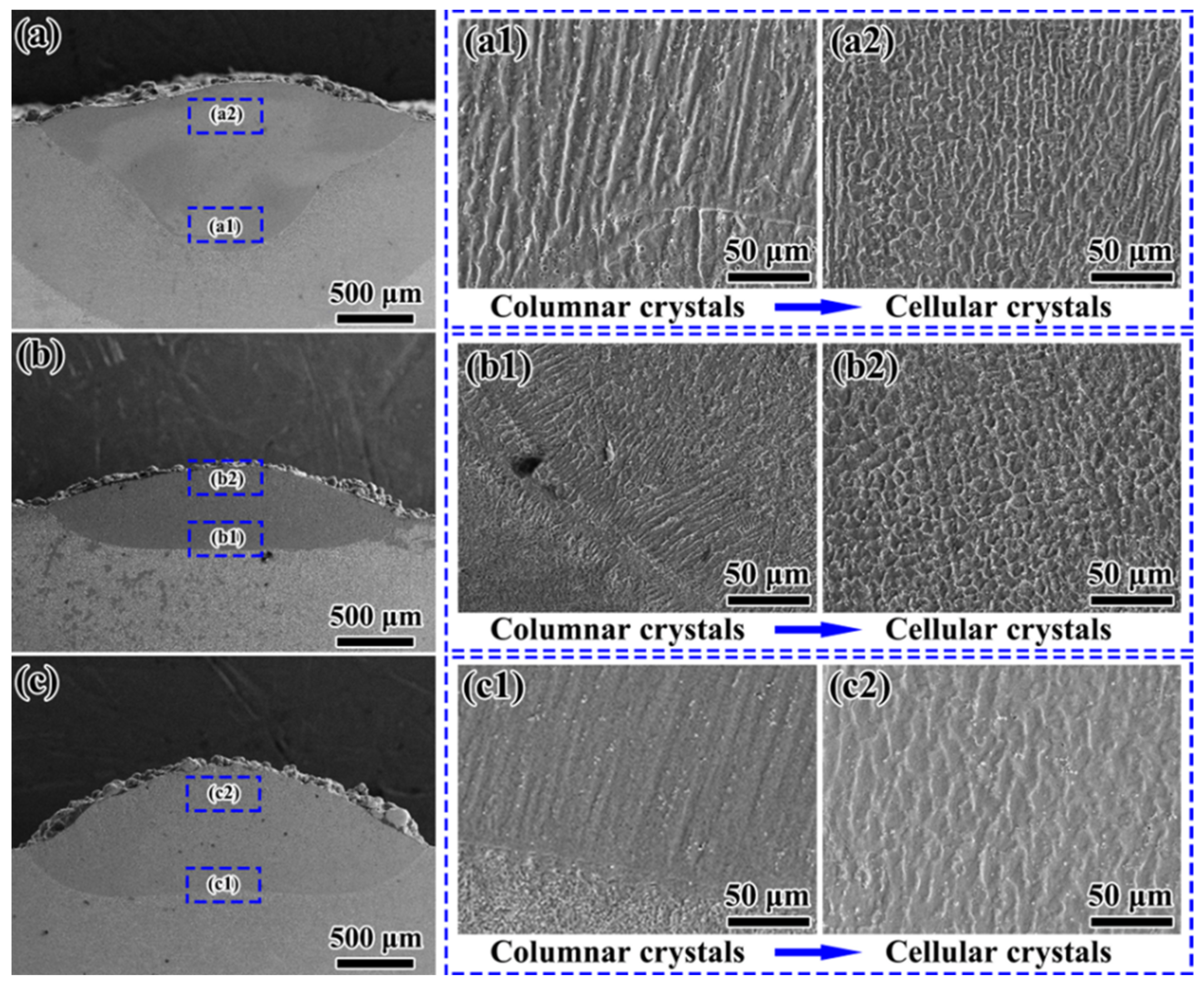 Coatings 14 01068 g002