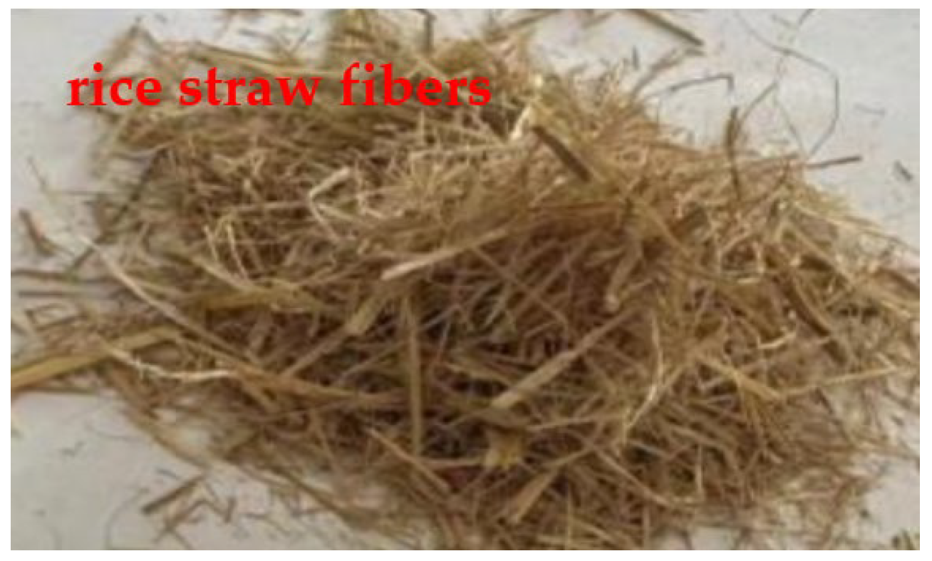 Coatings 14 01069 g001