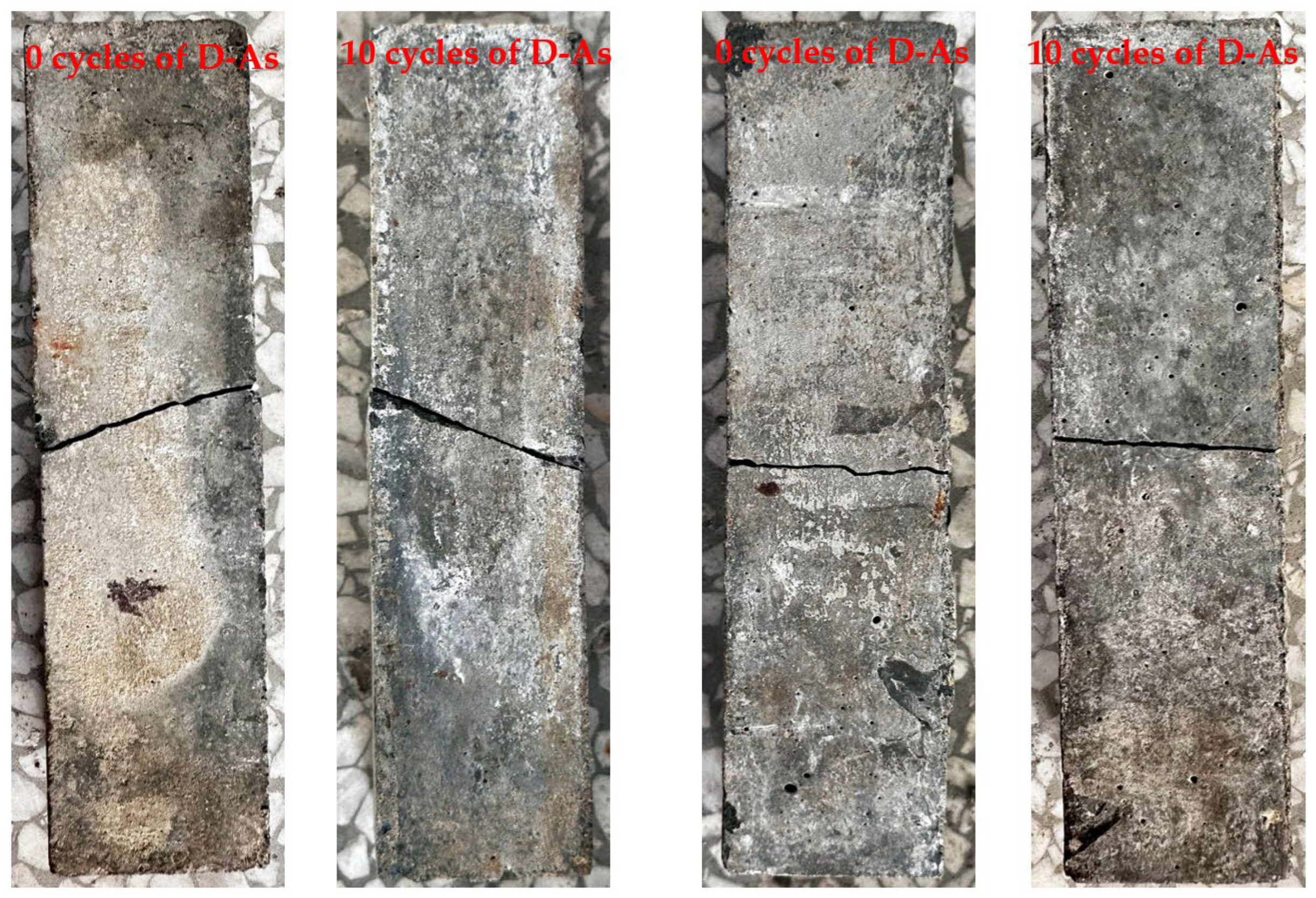 Coatings 14 01069 g010