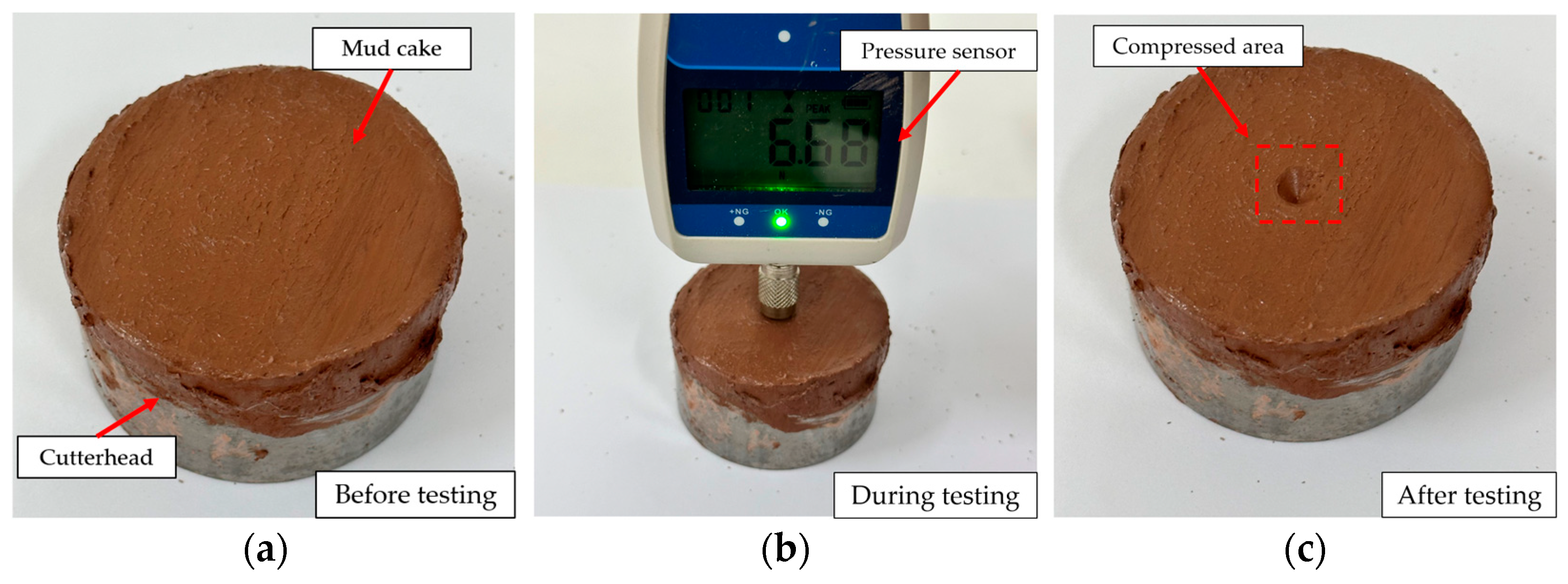 Coatings 14 01071 g024