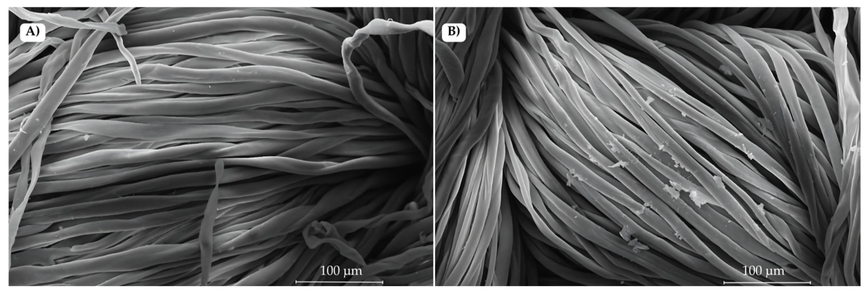Coatings 14 01100 g002 Coatings 14 01100 g002