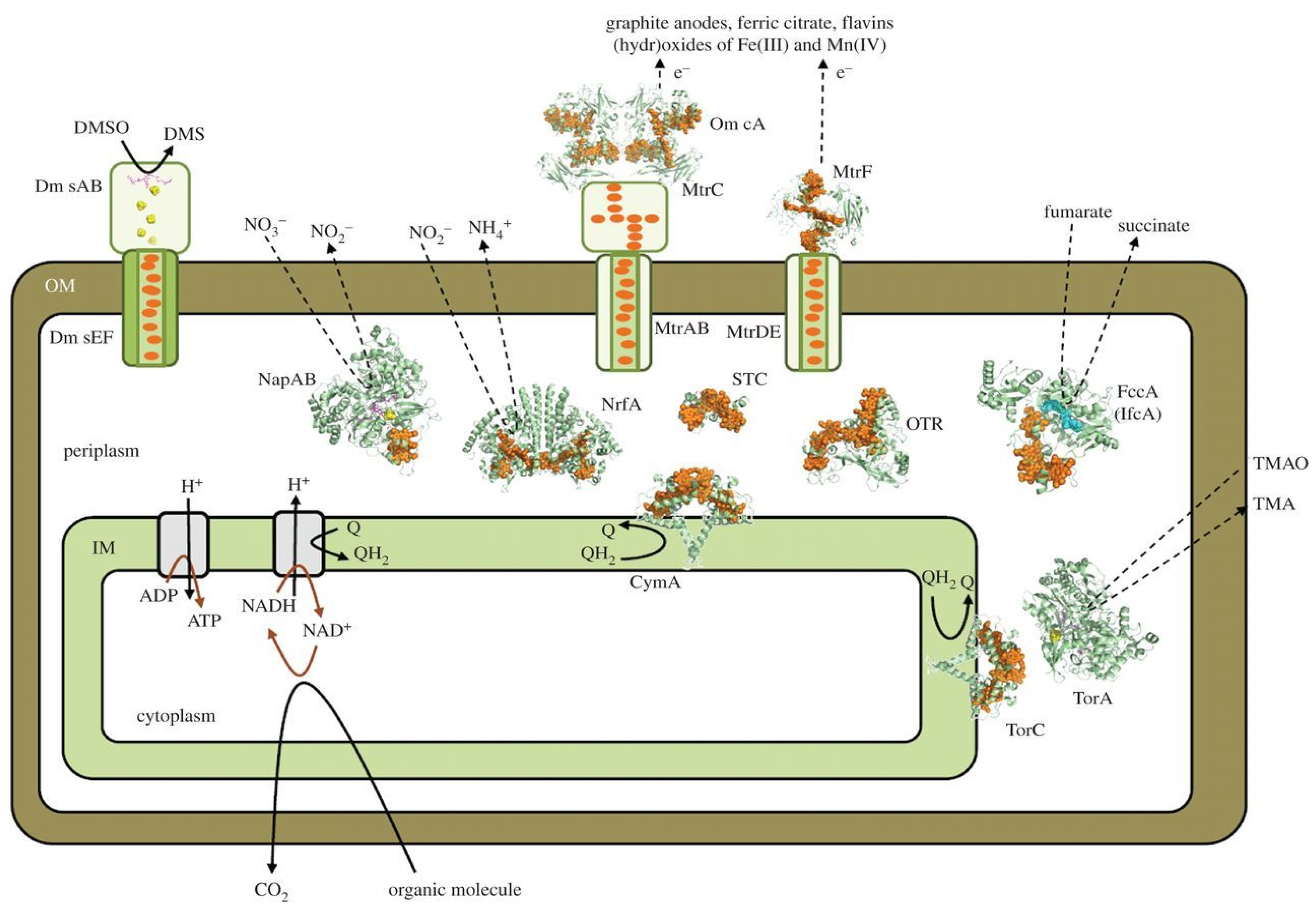 Coatings 14 01105 g002