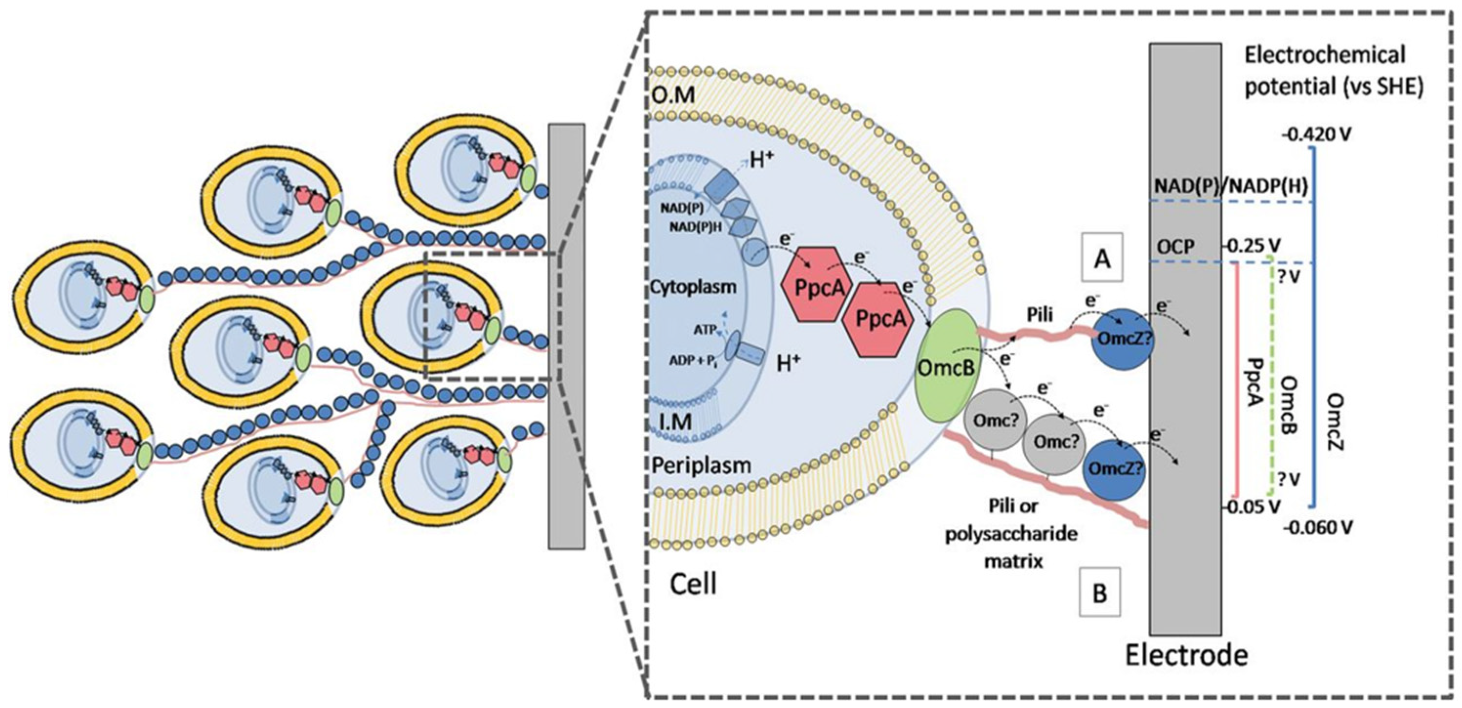 Coatings 14 01105 g003