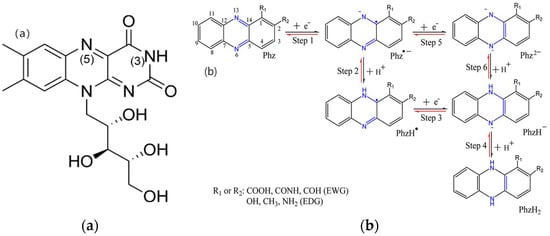 Coatings 14 01105 g004
