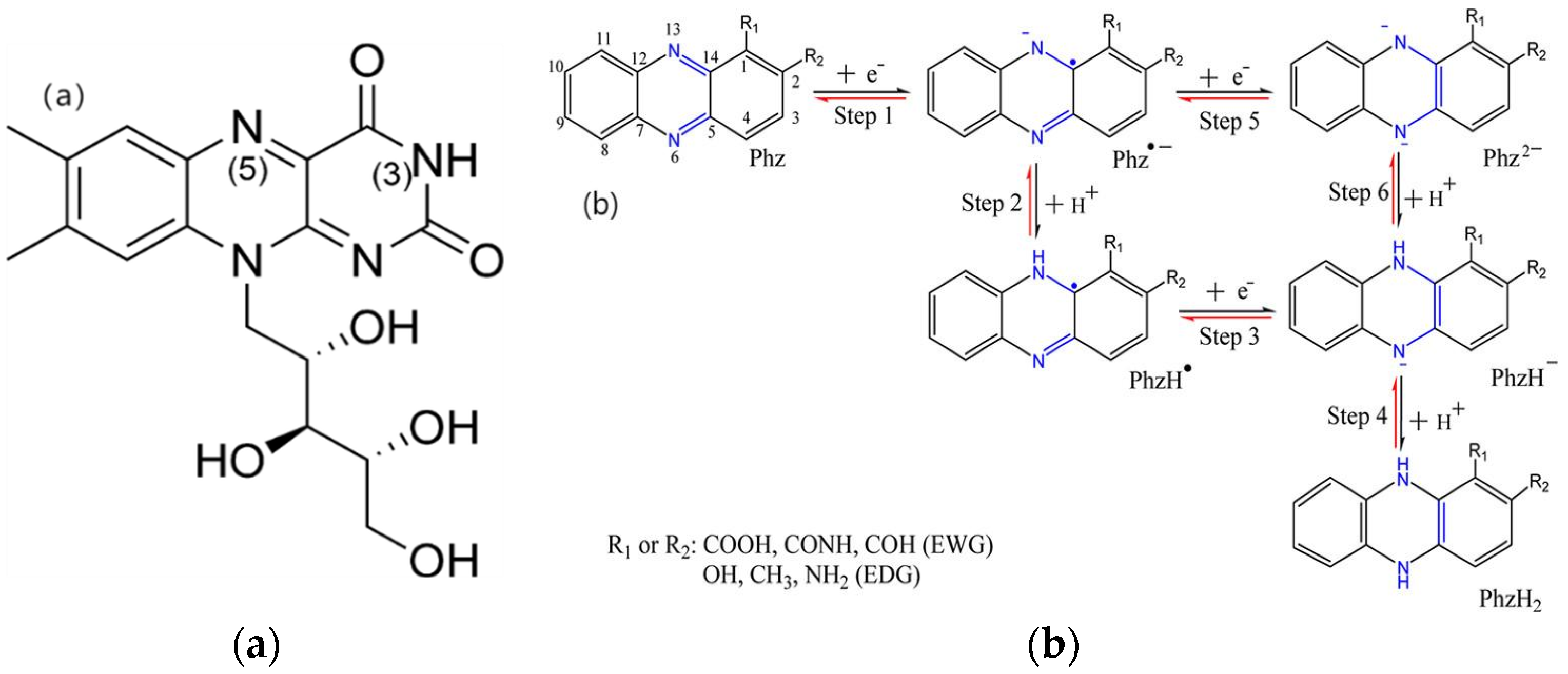 Coatings 14 01105 g004