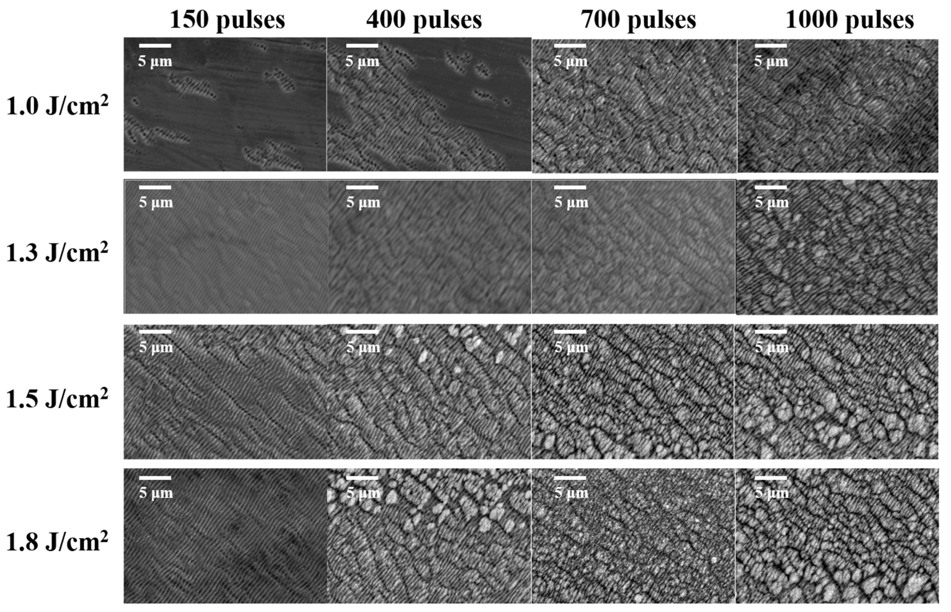 Coatings 14 01107 g003