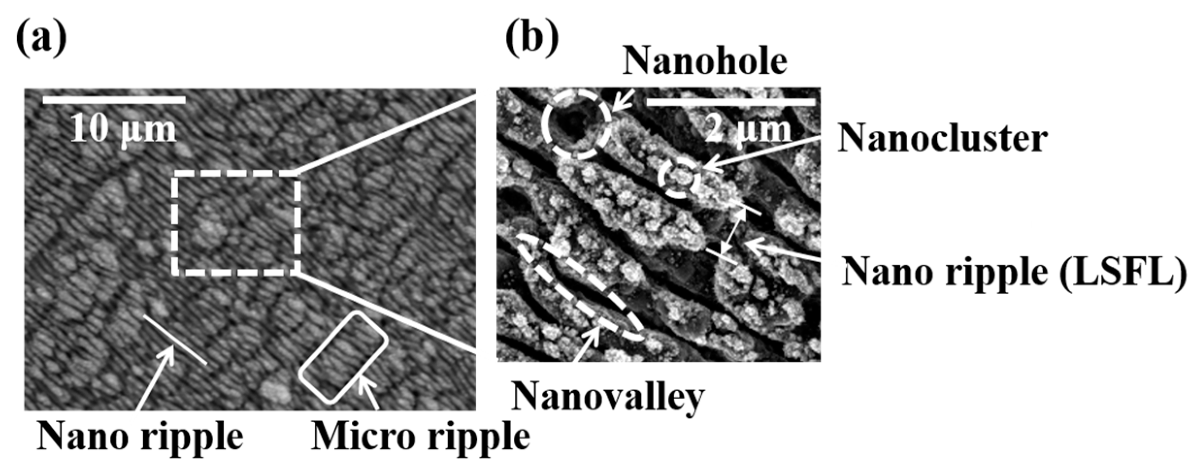 Coatings 14 01107 g004