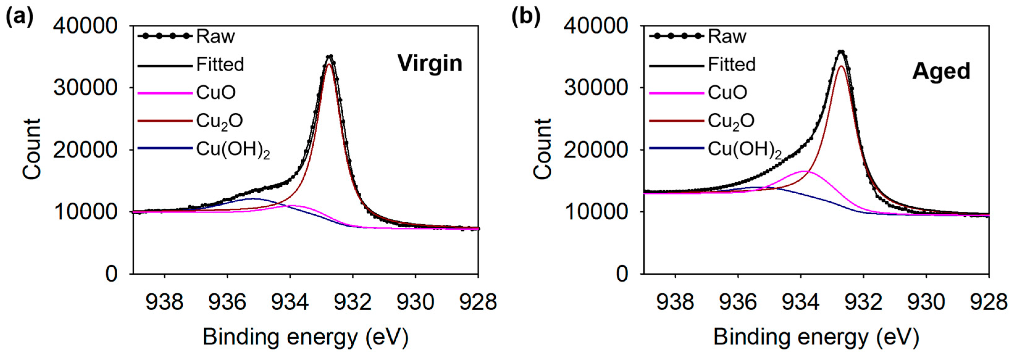 Coatings 14 01107 g010