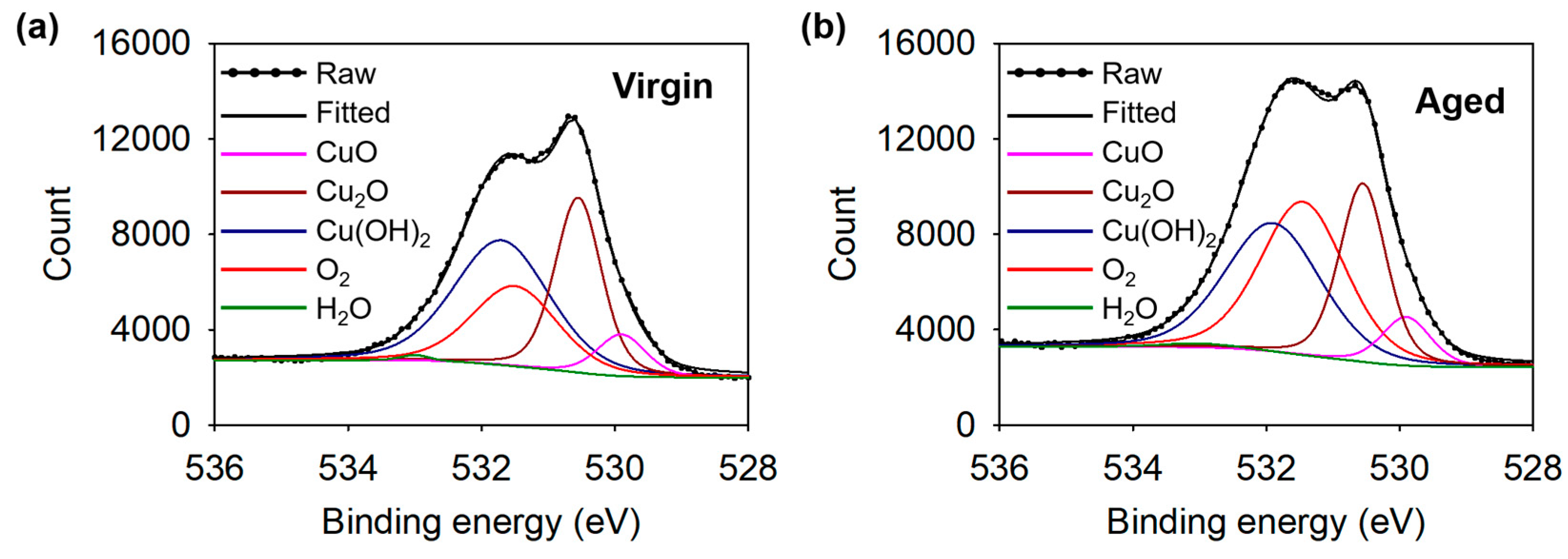 Coatings 14 01107 g012