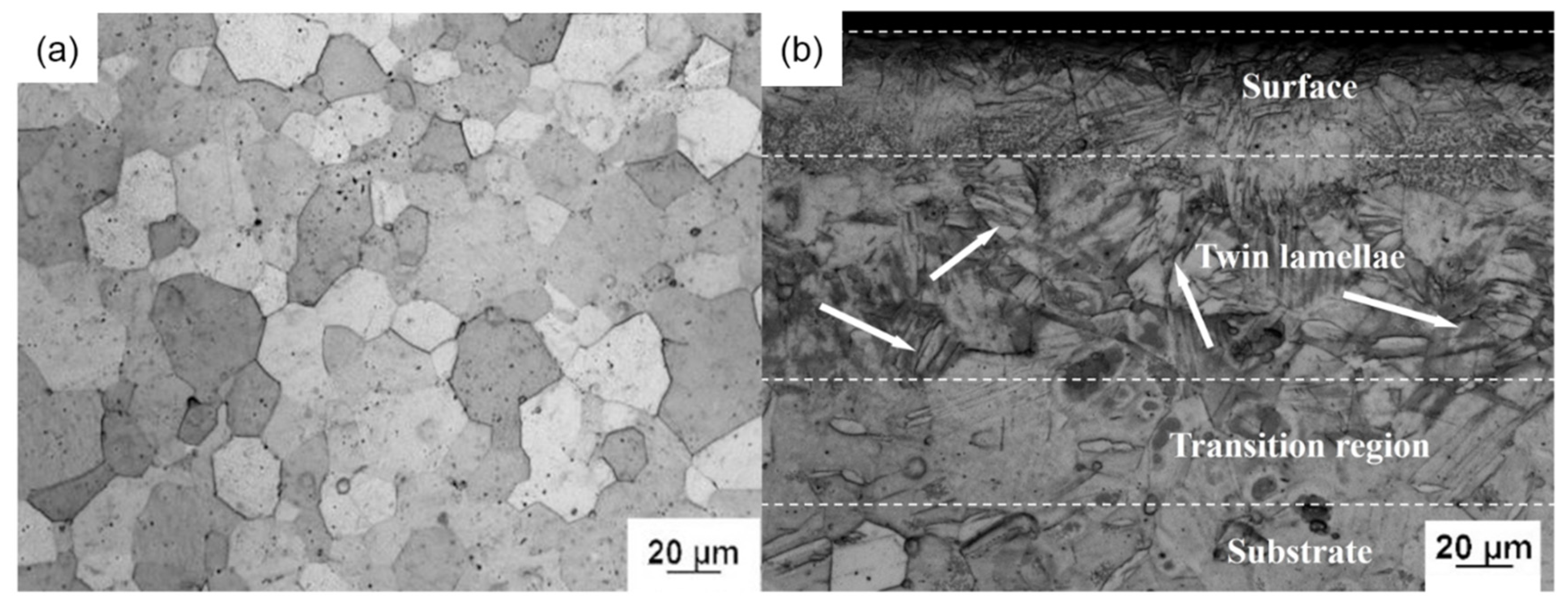 Coatings 14 01114 g001