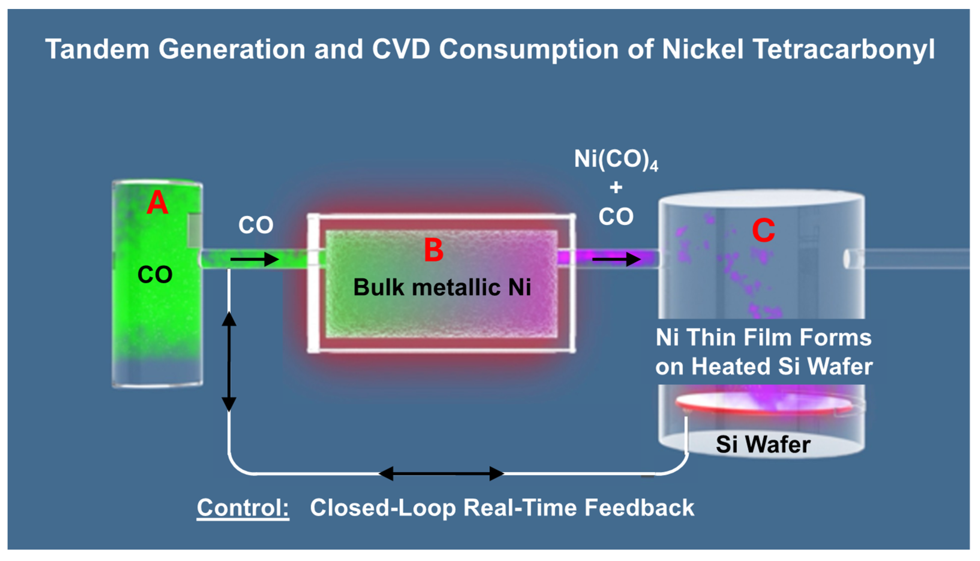 Coatings 14 01115 g006