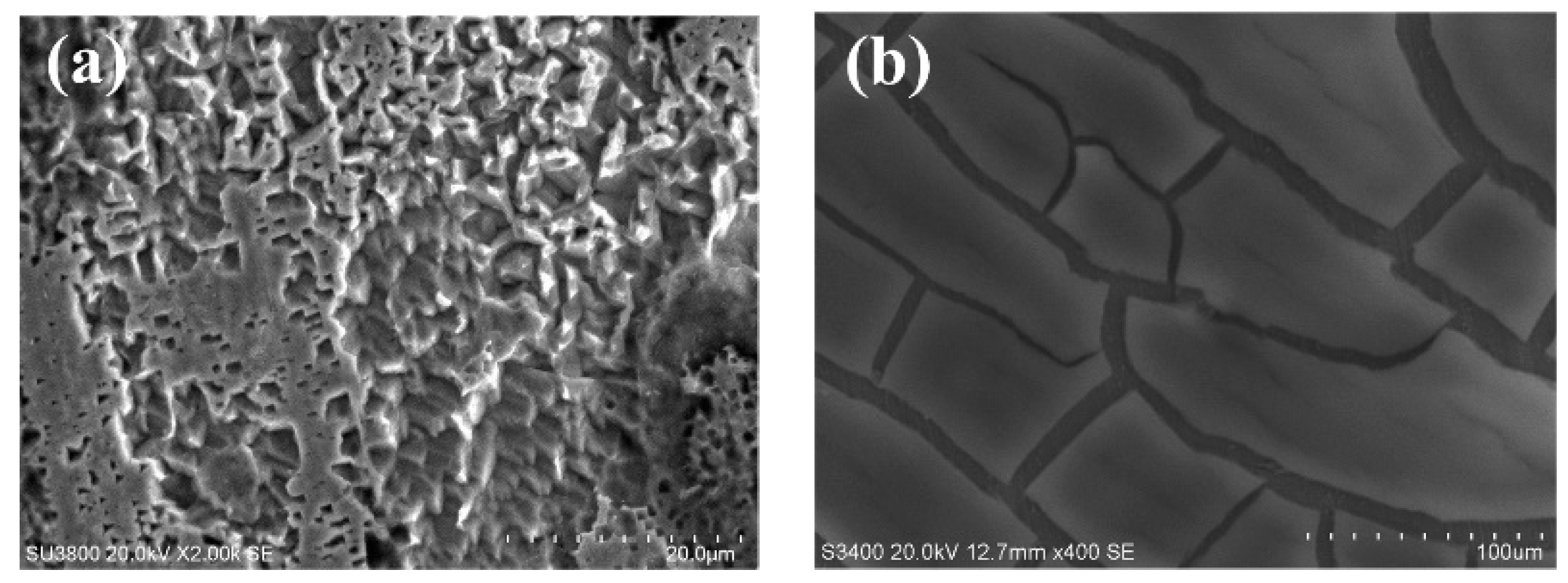Coatings 14 01117 g005