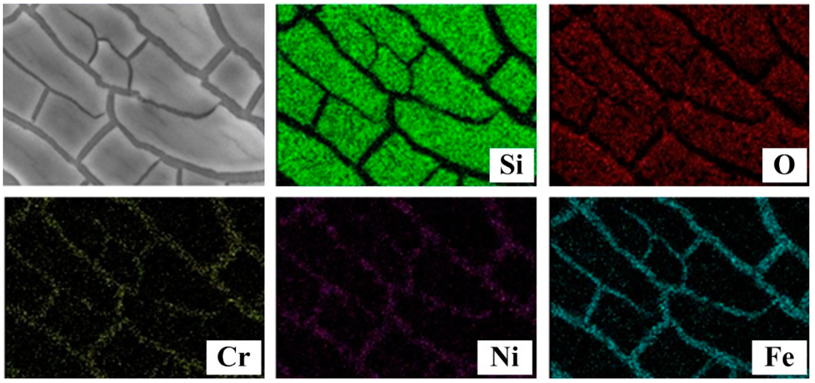Coatings 14 01117 g006