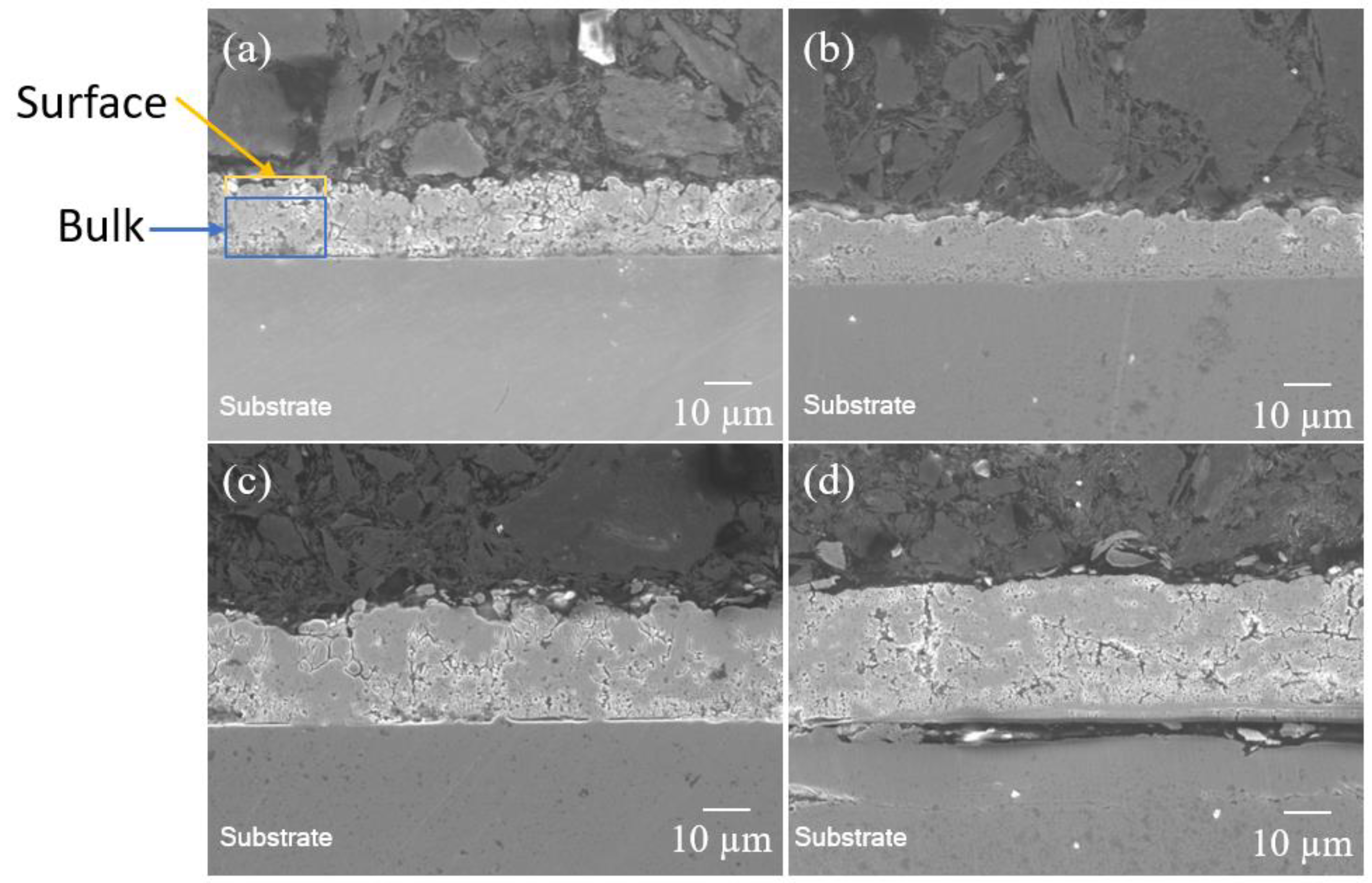 Coatings 14 01119 g003
