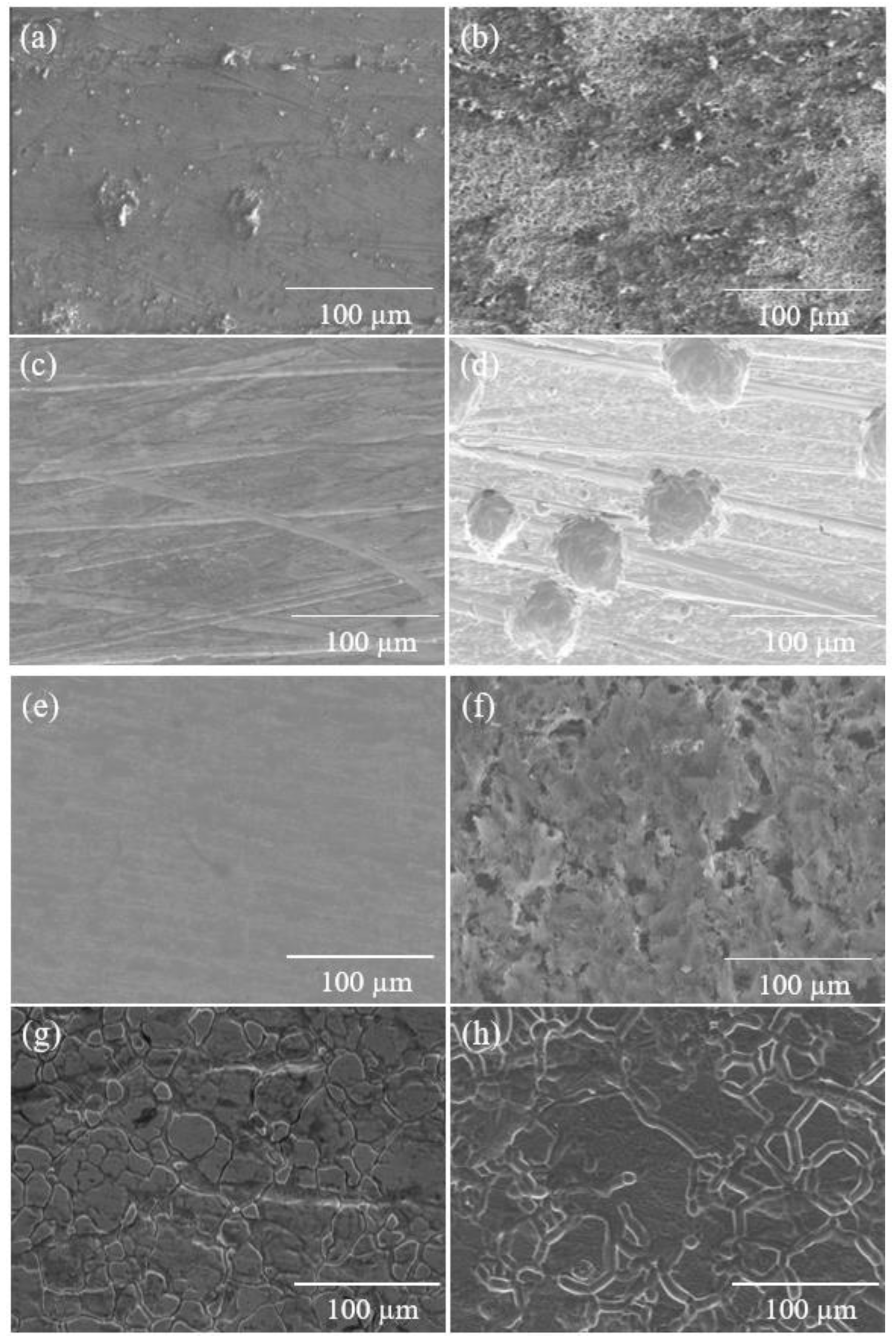 Coatings 14 01119 g005