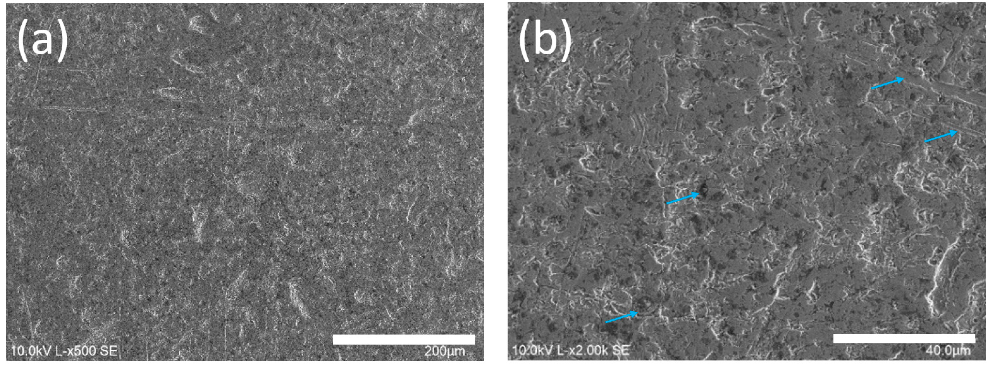 Coatings 14 01125 g003