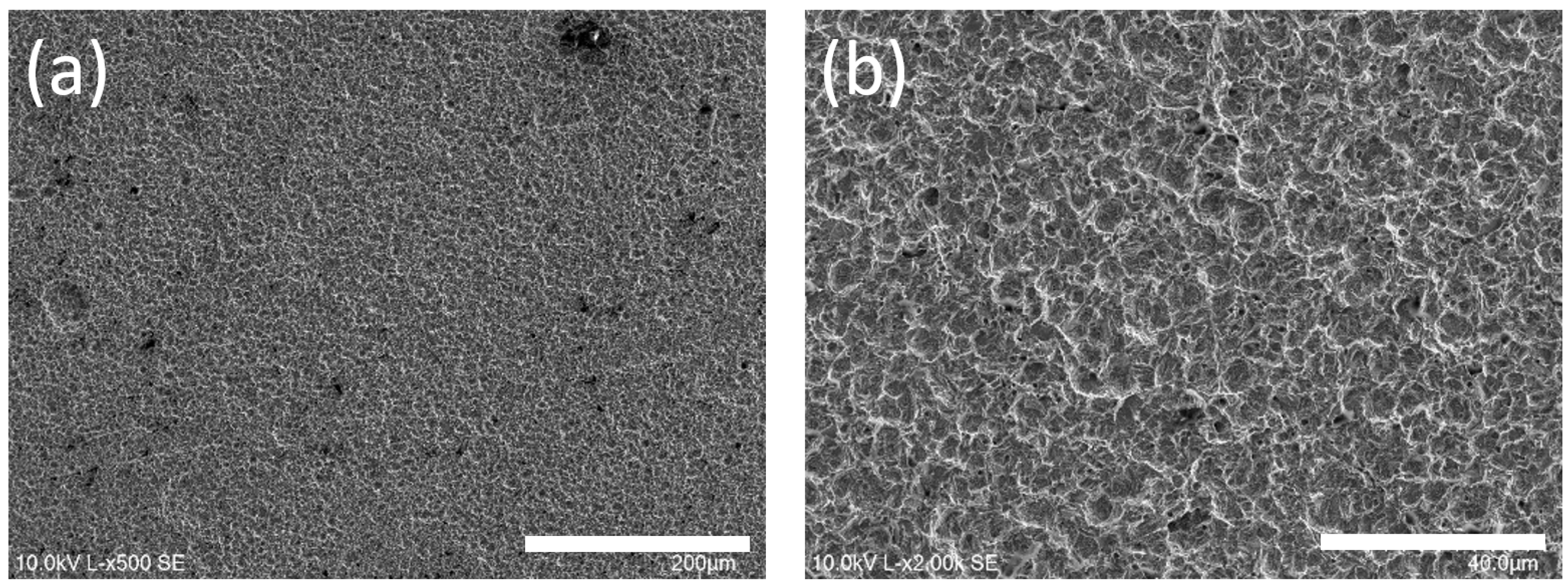 Coatings 14 01125 g004