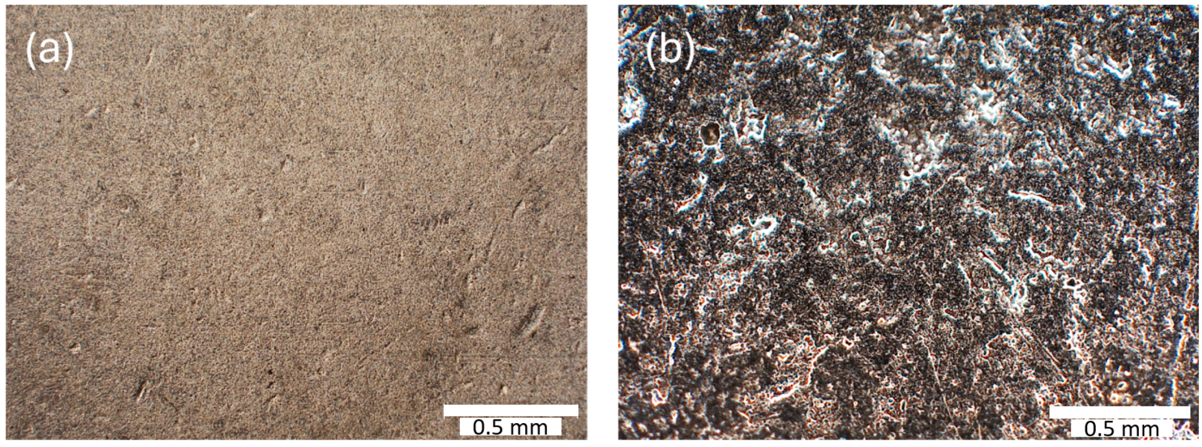 Coatings 14 01125 g005