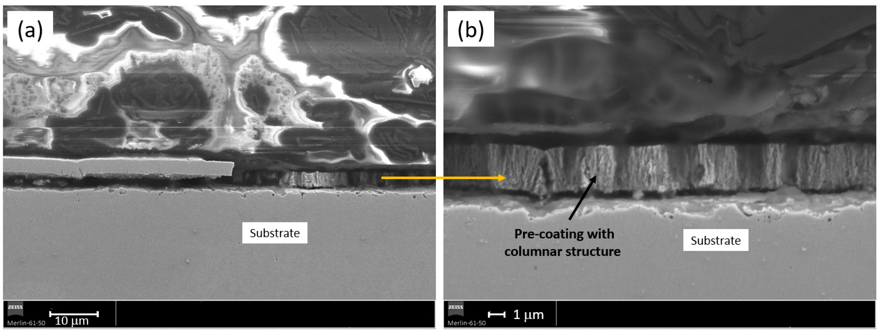 Coatings 14 01125 g006