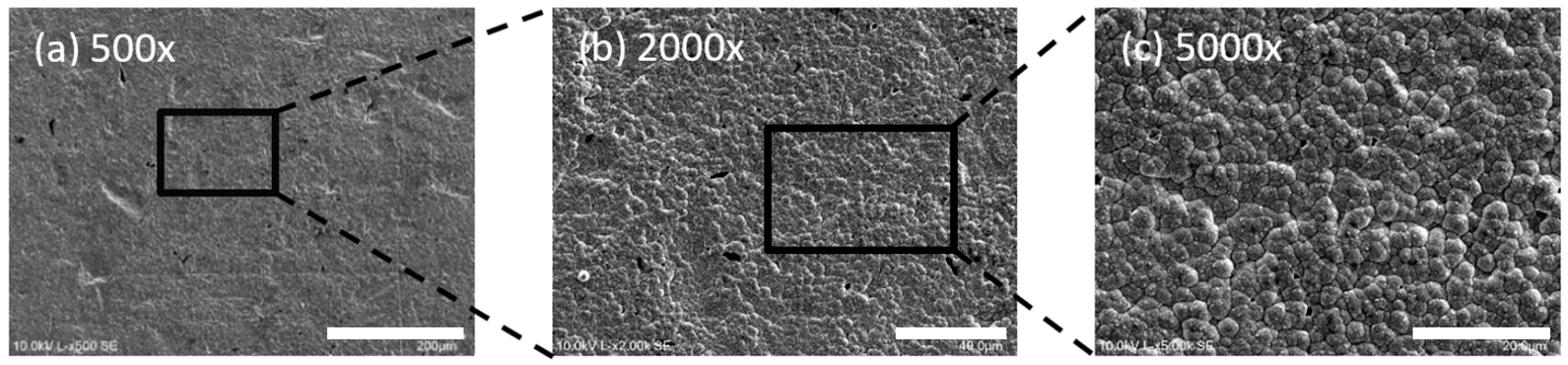 Coatings 14 01125 g008