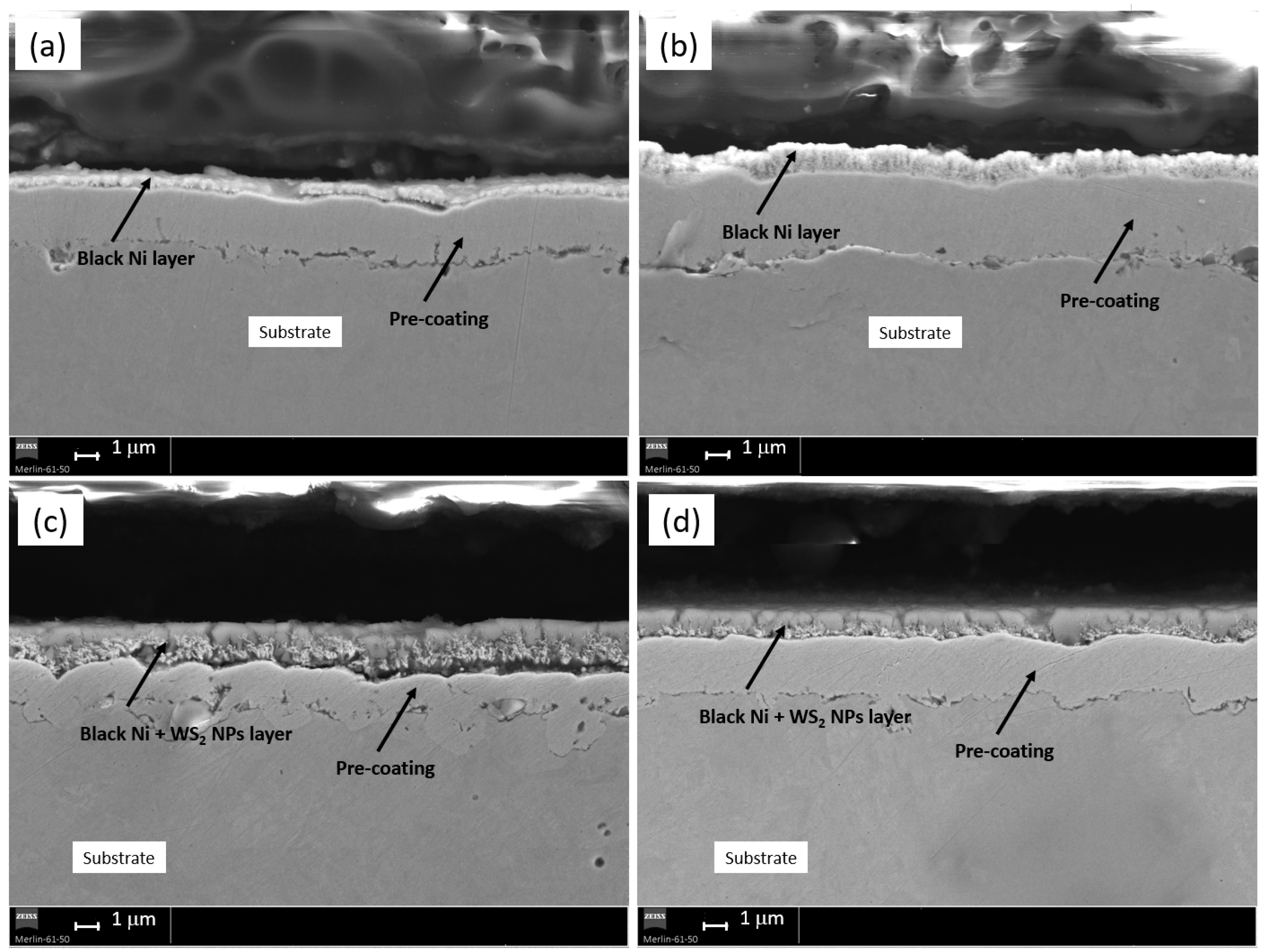 Coatings 14 01125 g010