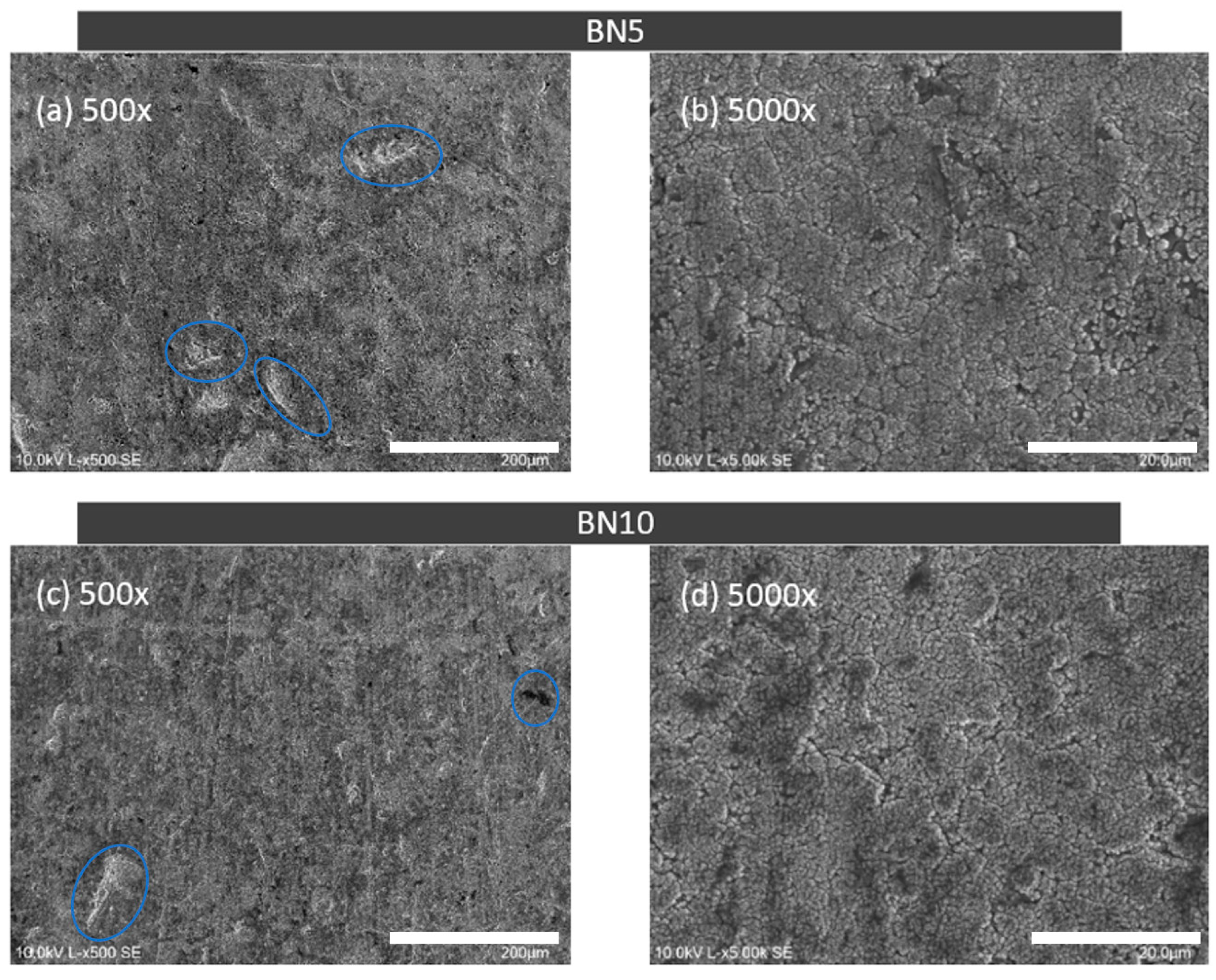 Coatings 14 01125 g012