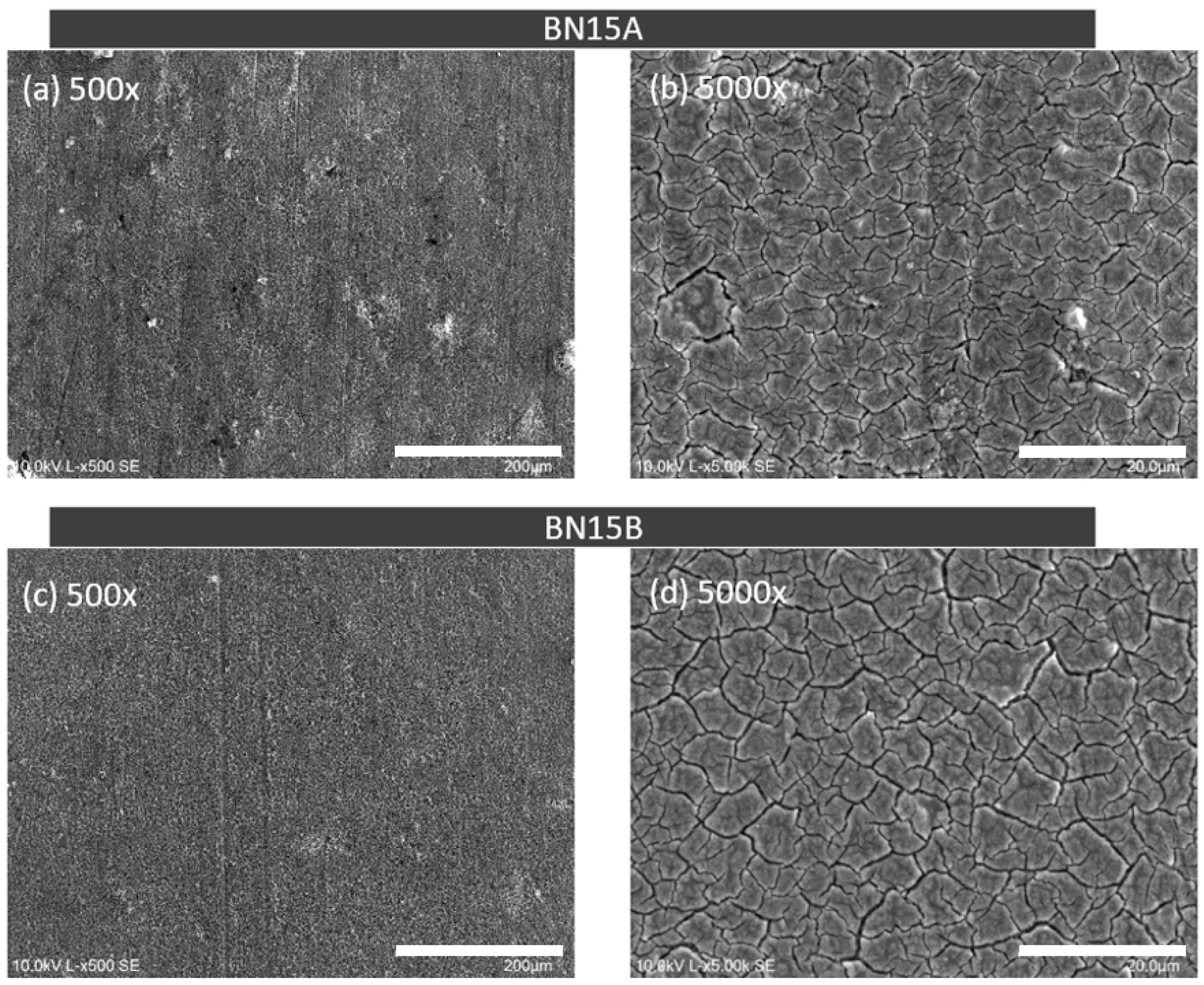 Coatings 14 01125 g013