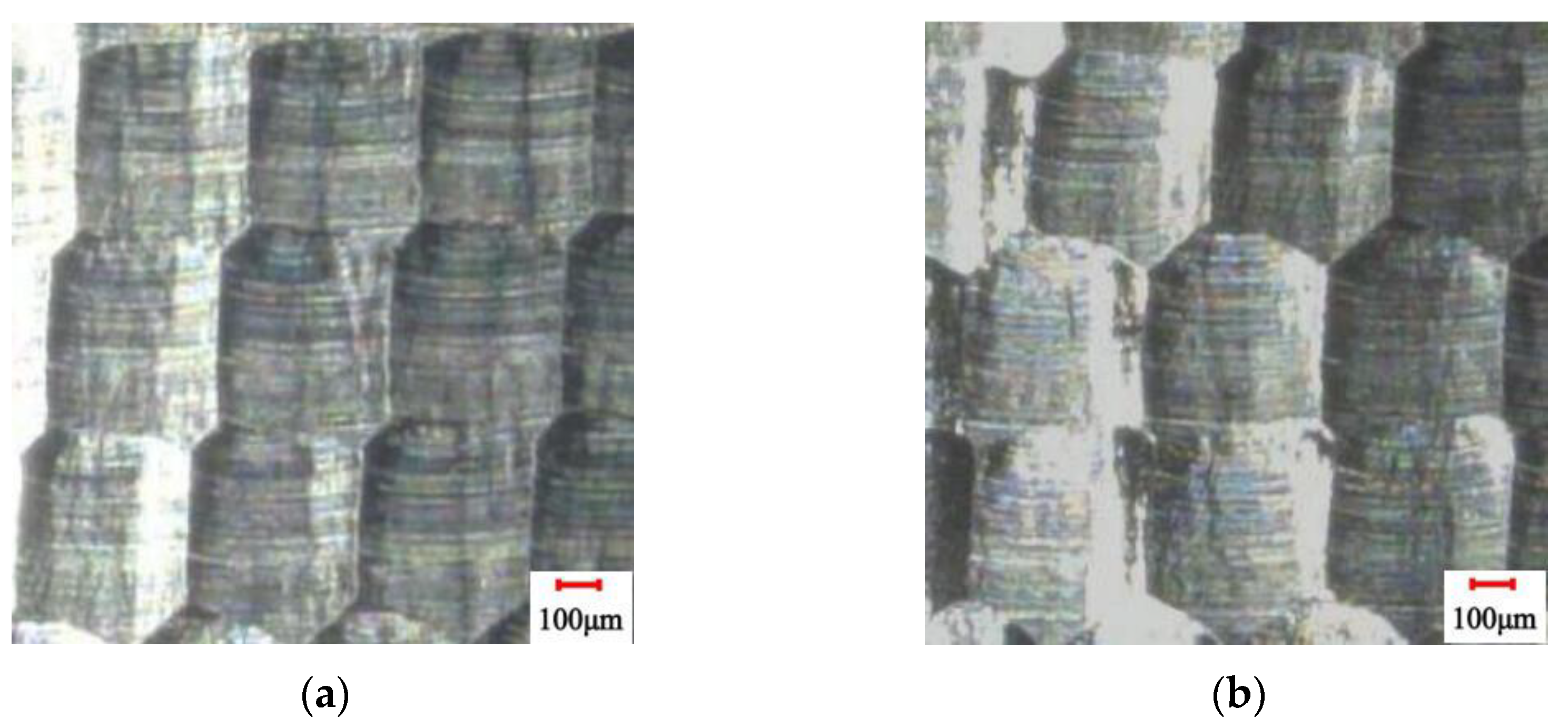 Coatings 14 01128 g009