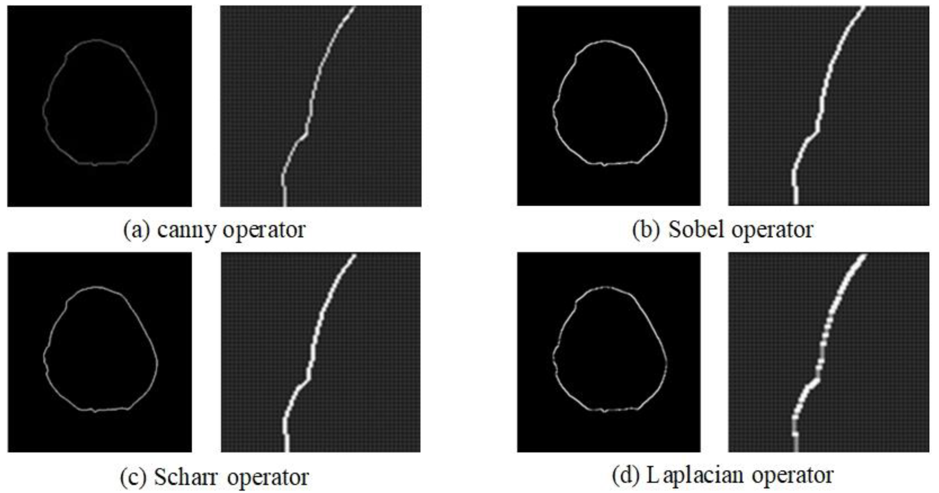 Coatings 14 01131 g006