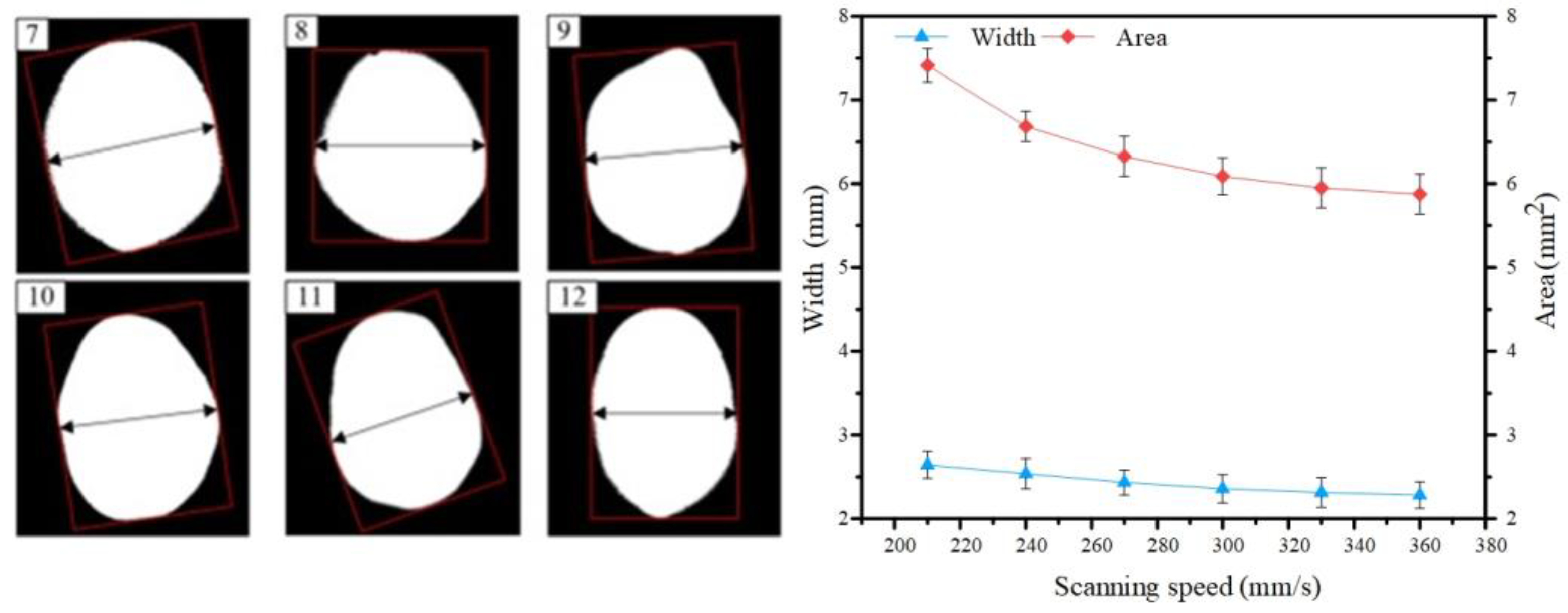 Coatings 14 01131 g010