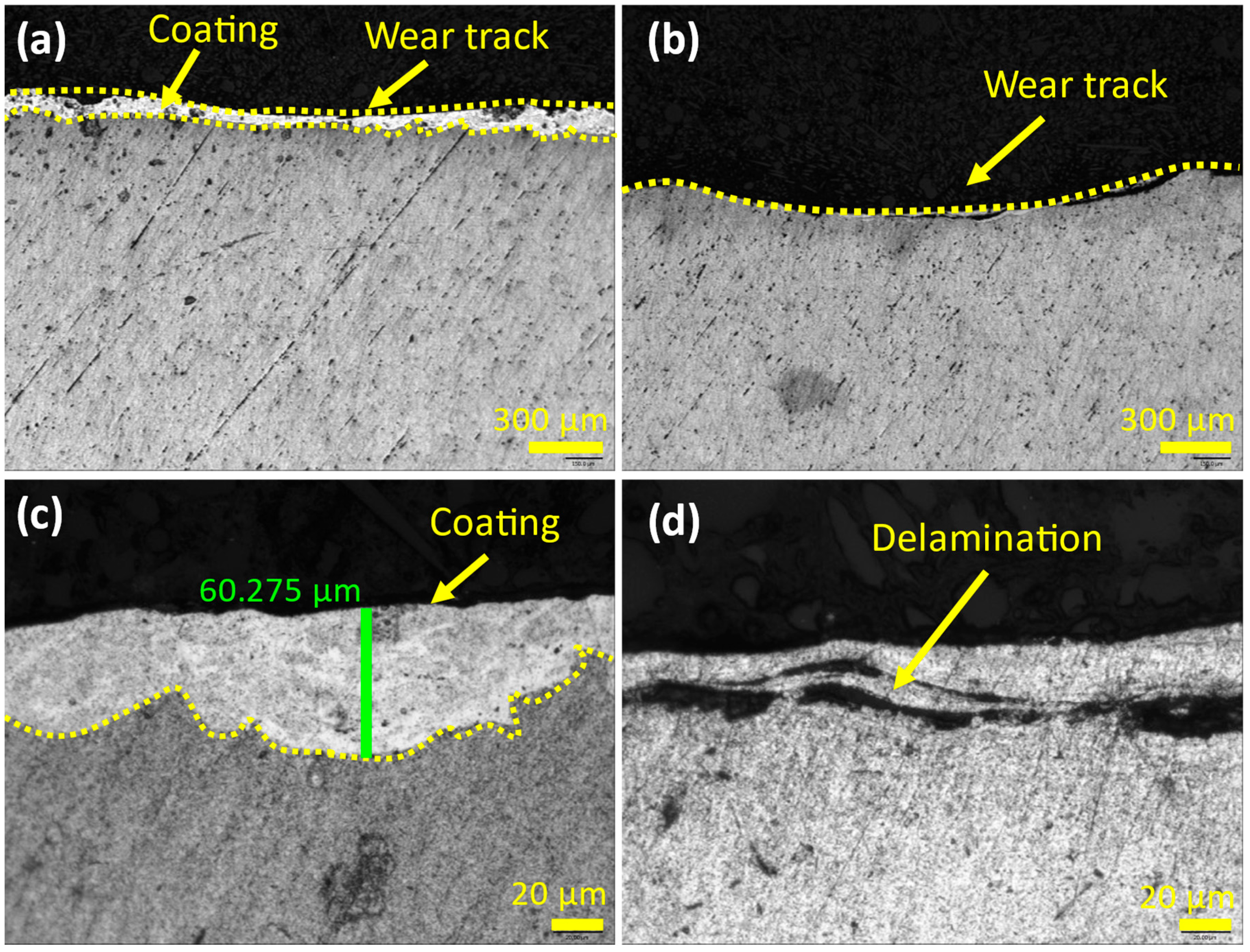 Coatings 14 01135 g011