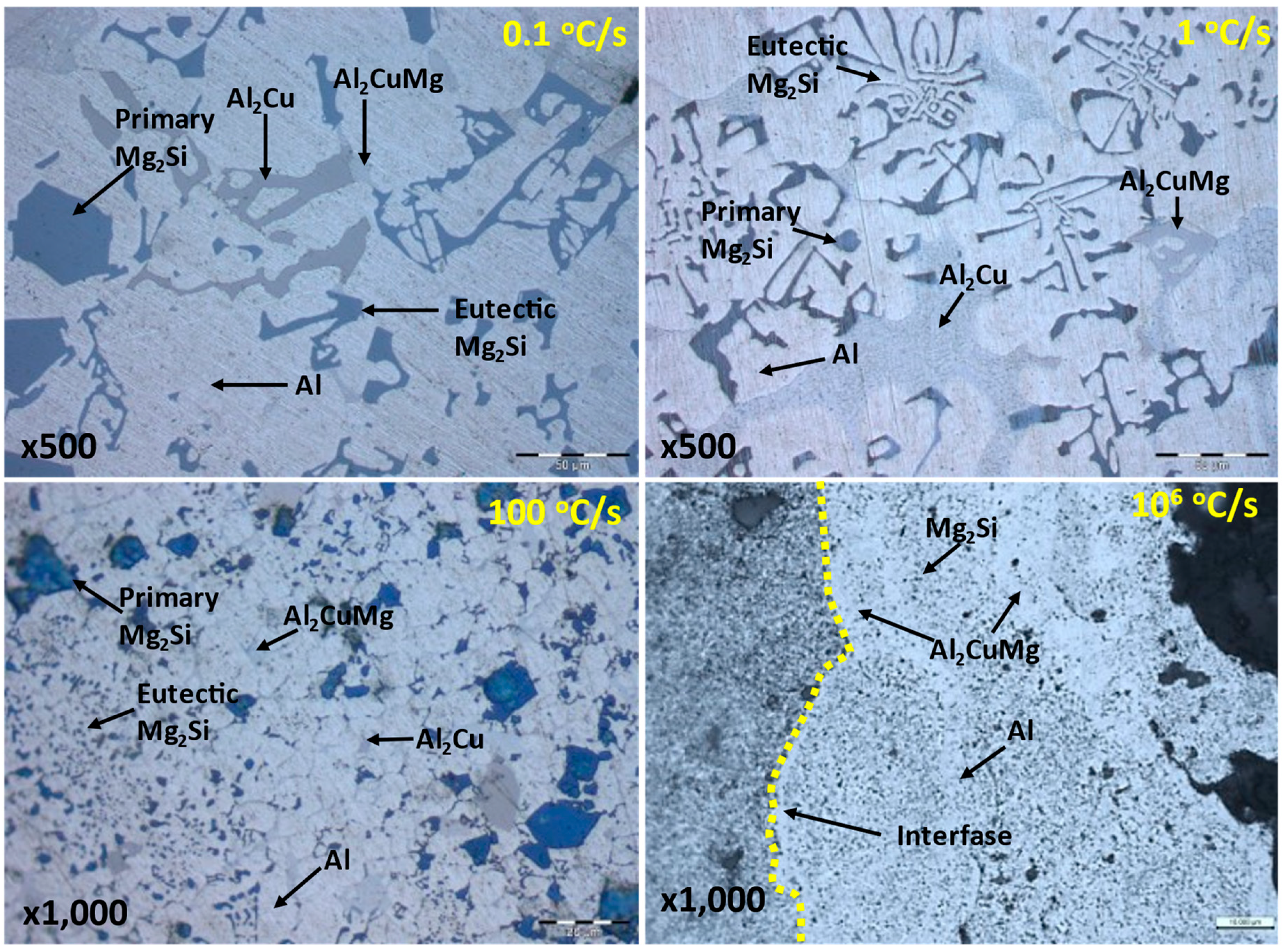 Coatings 14 01135 g012