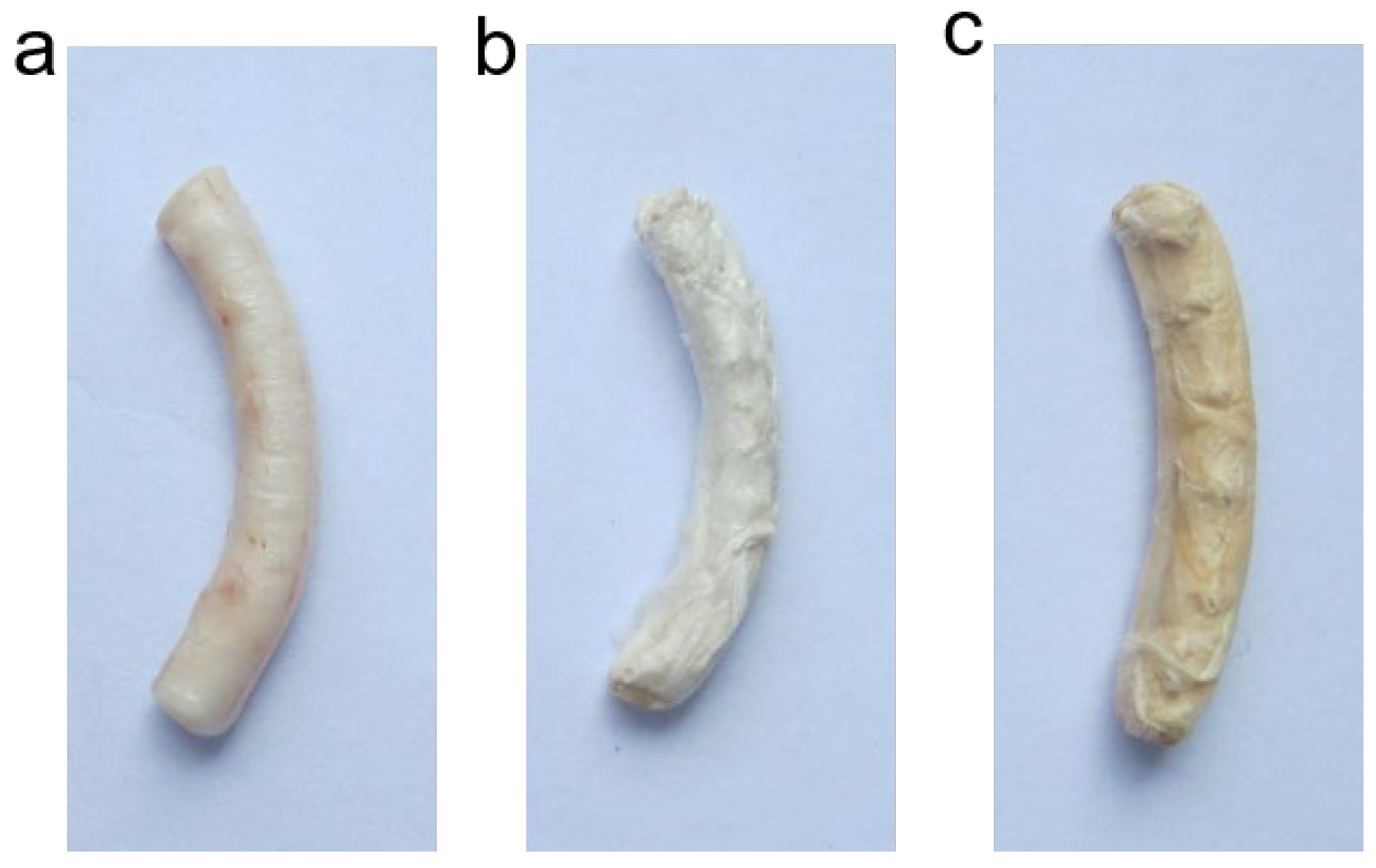 Coatings 14 01137 g001