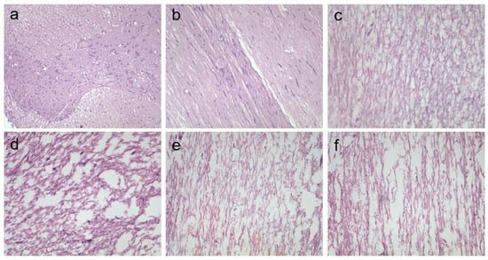 Coatings 14 01137 g002