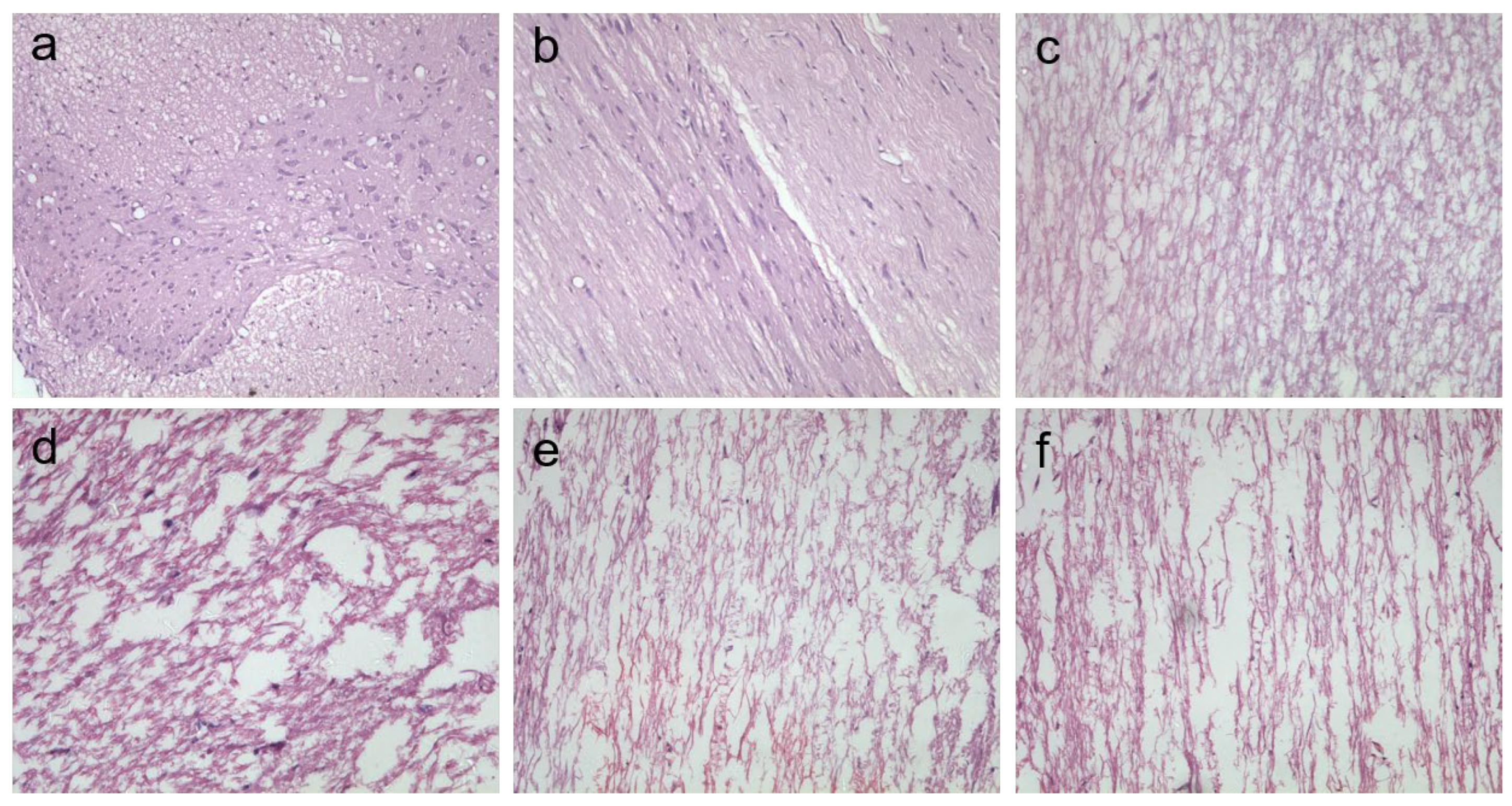 Coatings 14 01137 g002