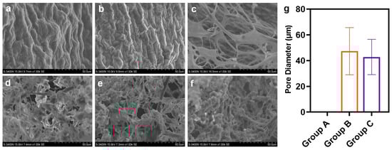 Coatings 14 01137 g003