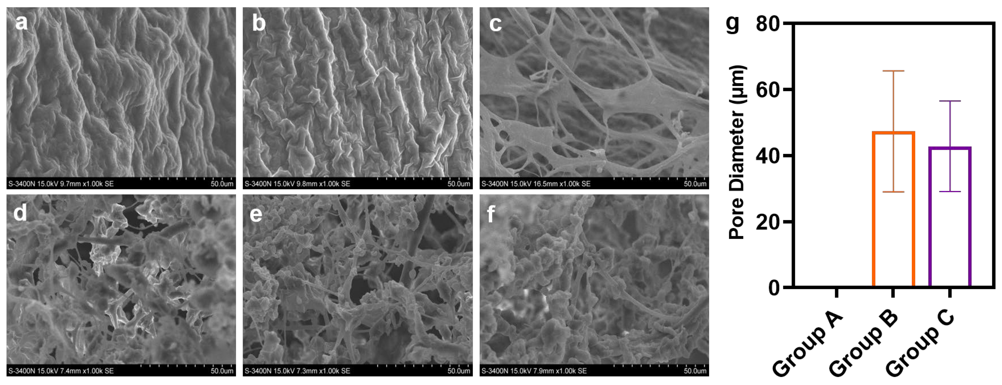 Coatings 14 01137 g003