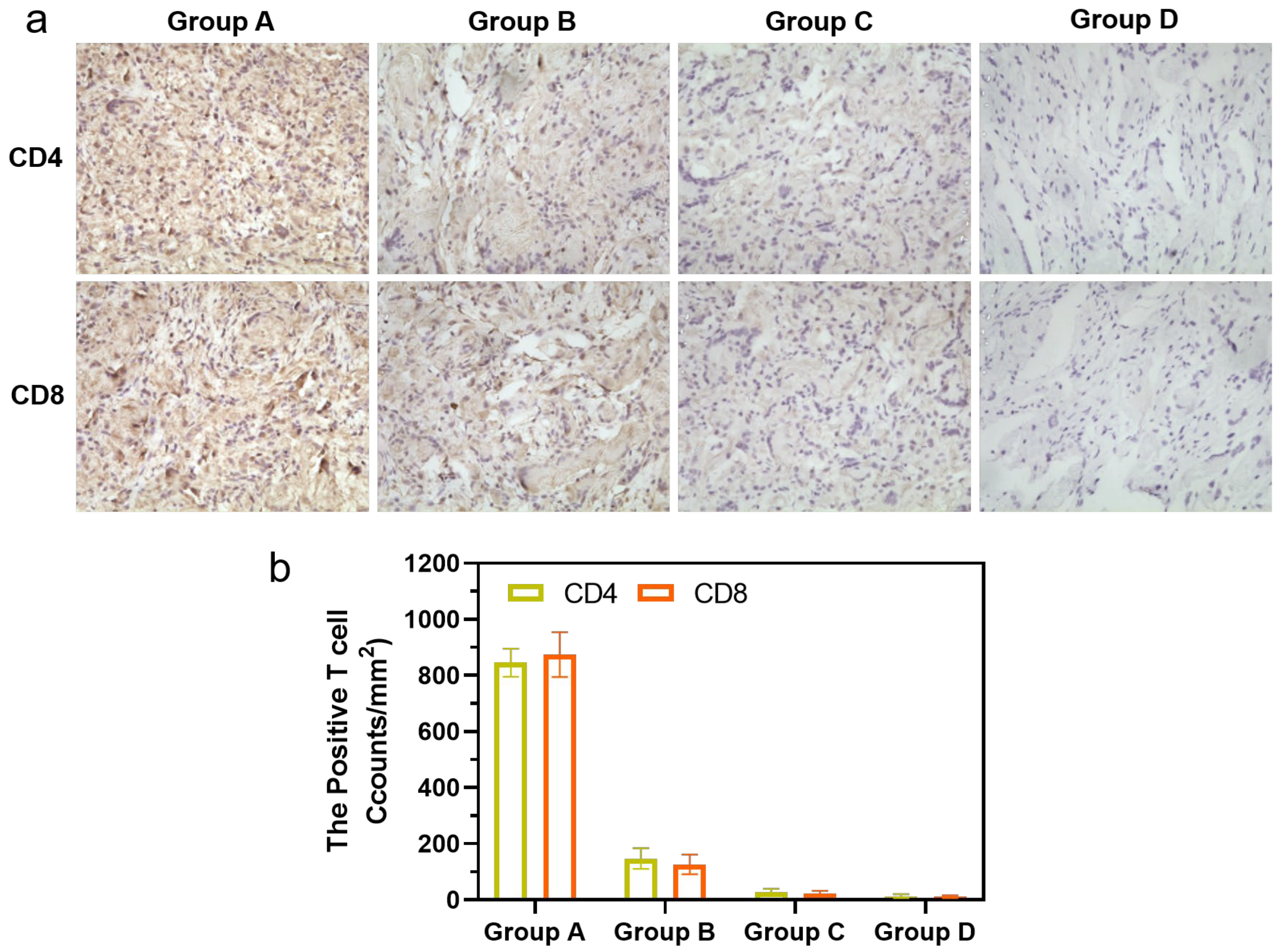 Coatings 14 01137 g008