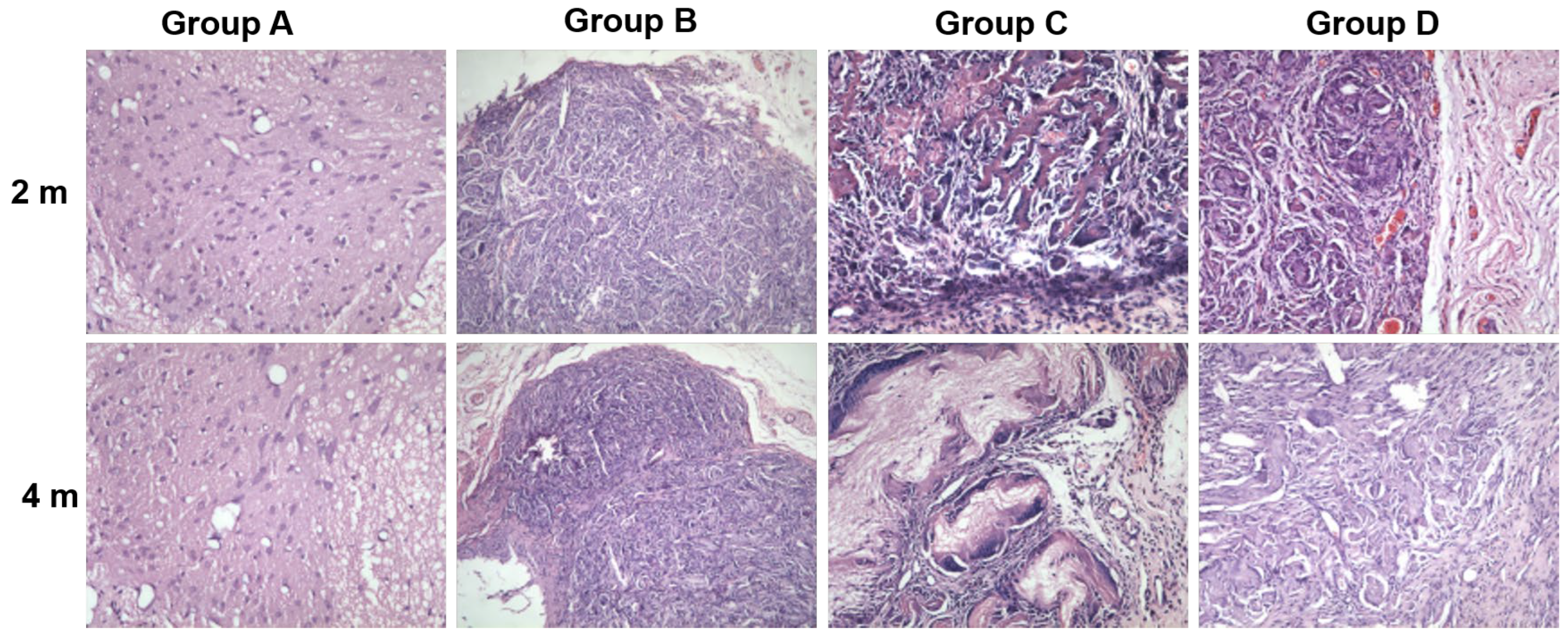 Coatings 14 01137 g011