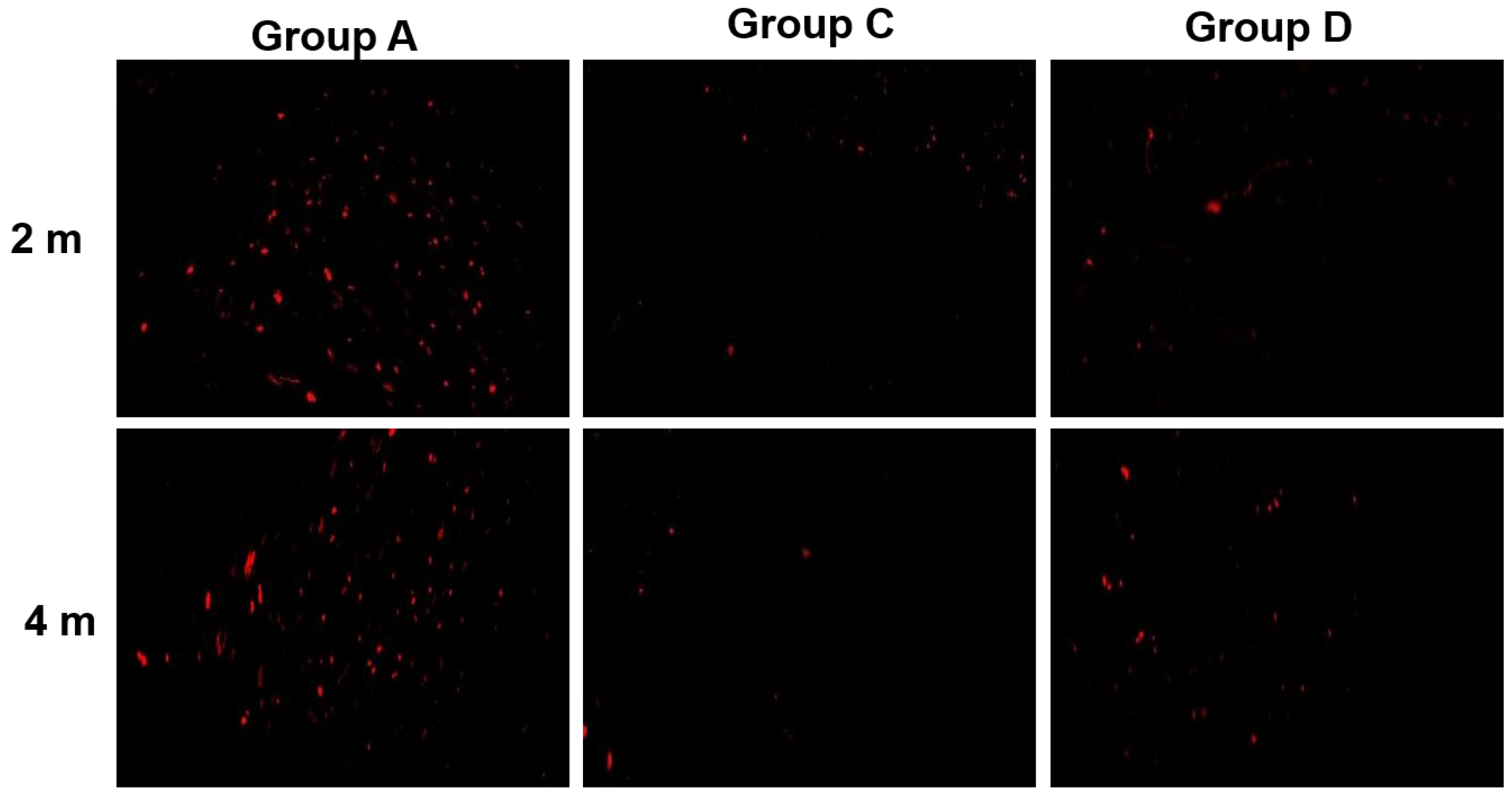 Coatings 14 01137 g012