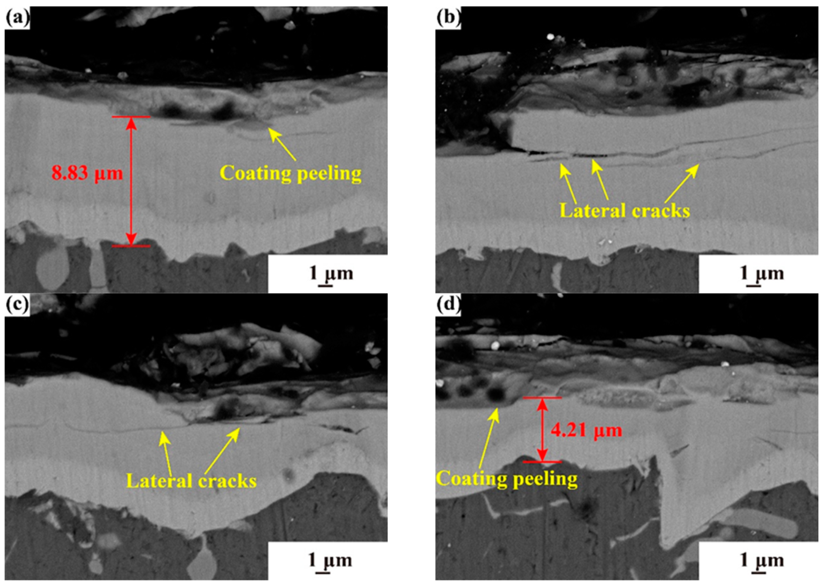 Coatings 14 01144 g010