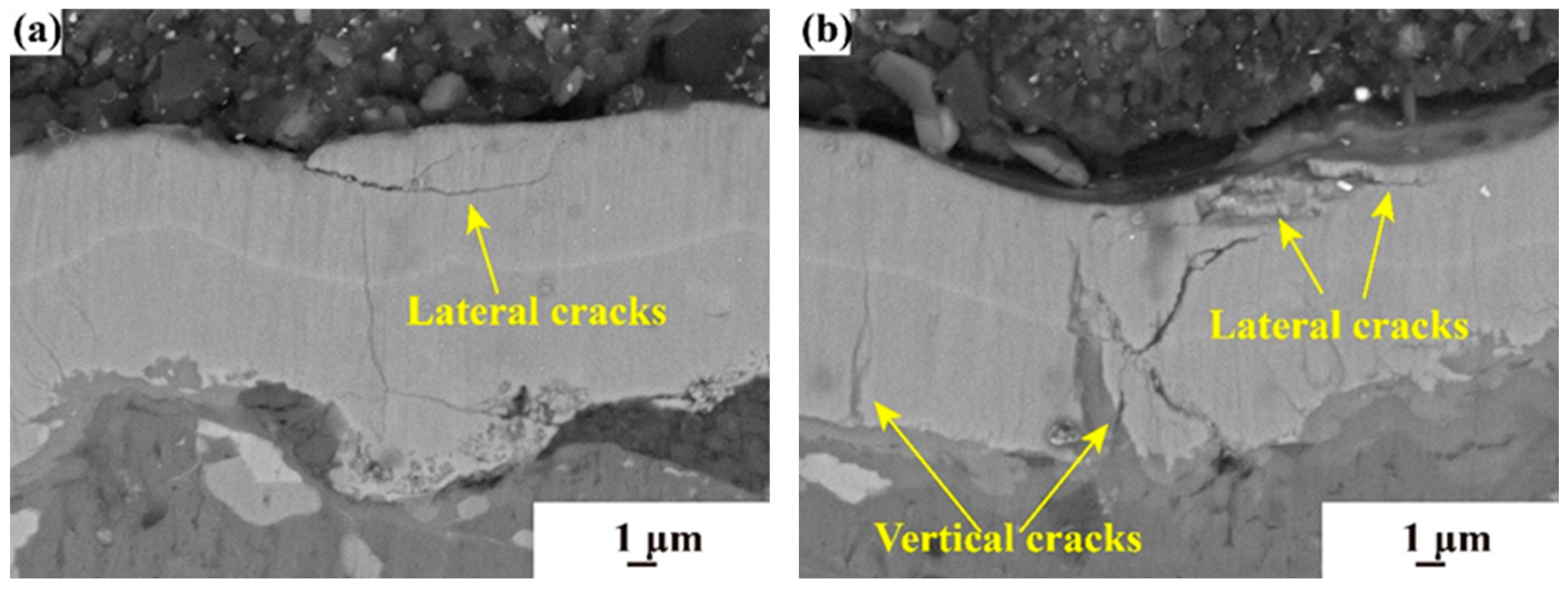 Coatings 14 01144 g011