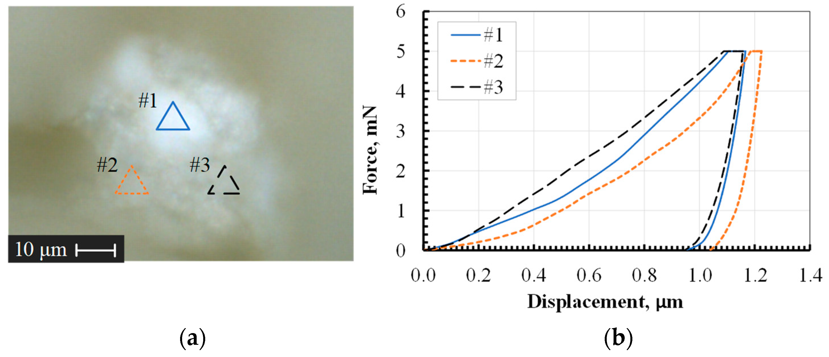 Coatings 14 01151 g012