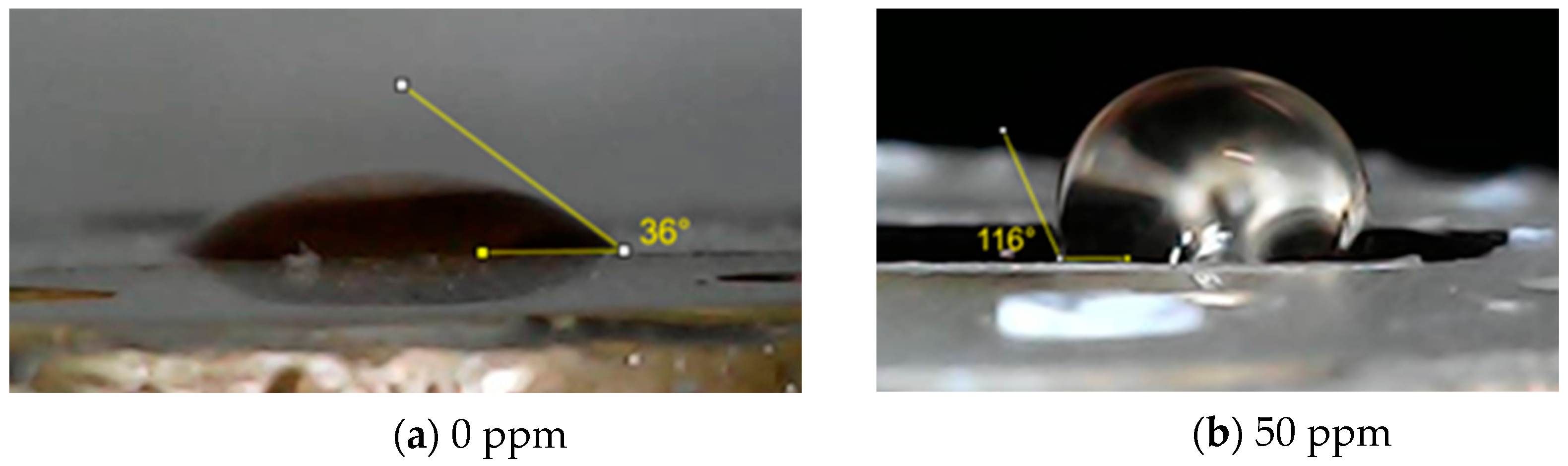 Coatings 14 01152 g009