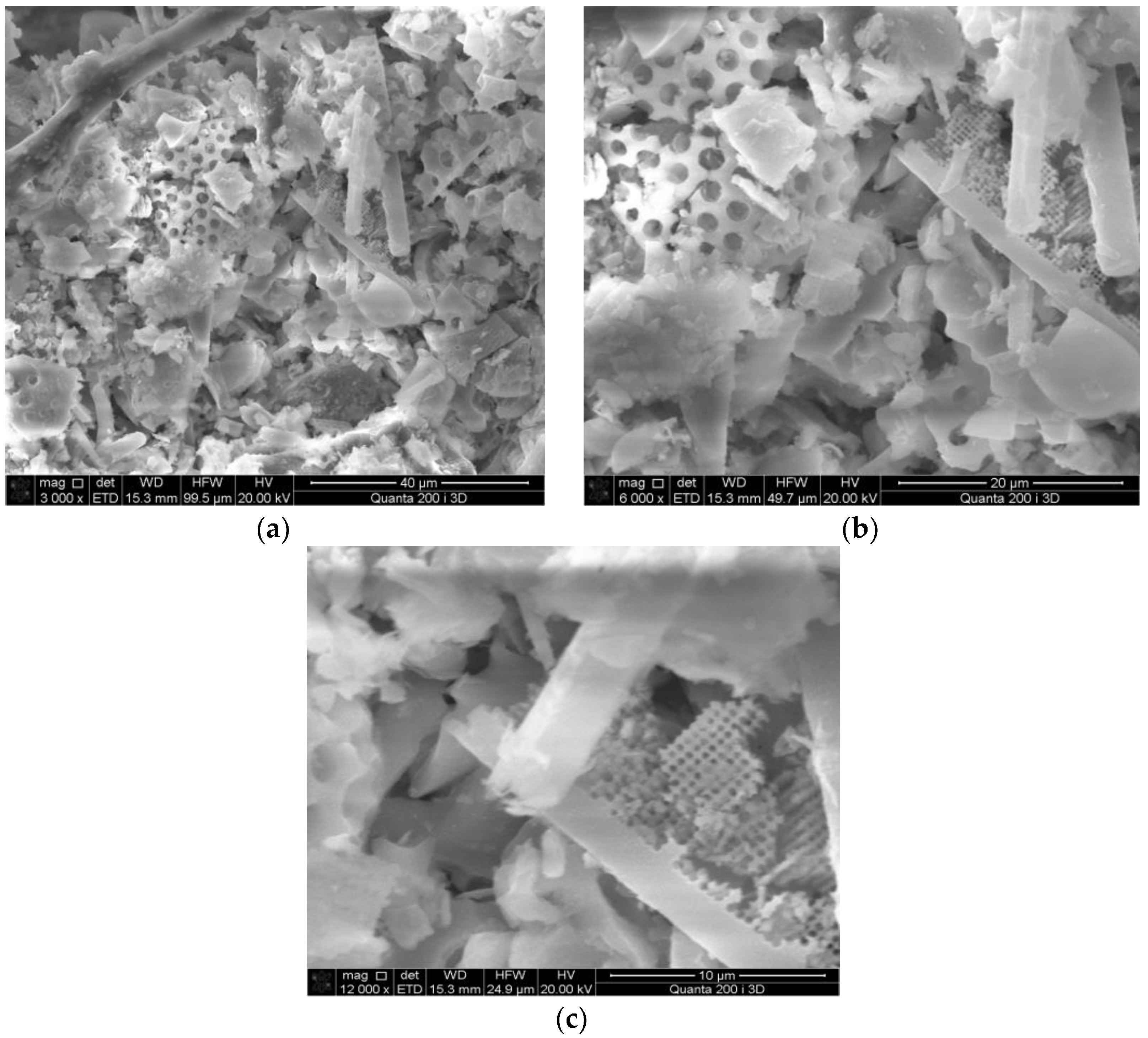 Coatings 14 01154 g003