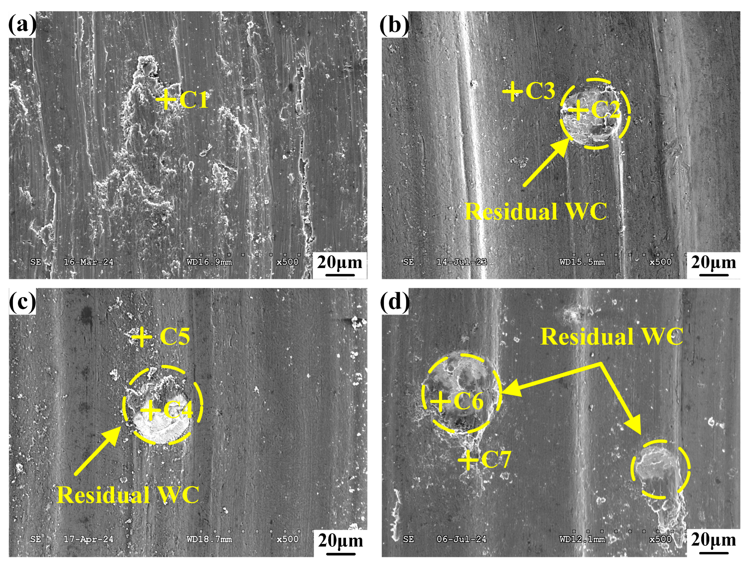 Coatings 14 01157 g013