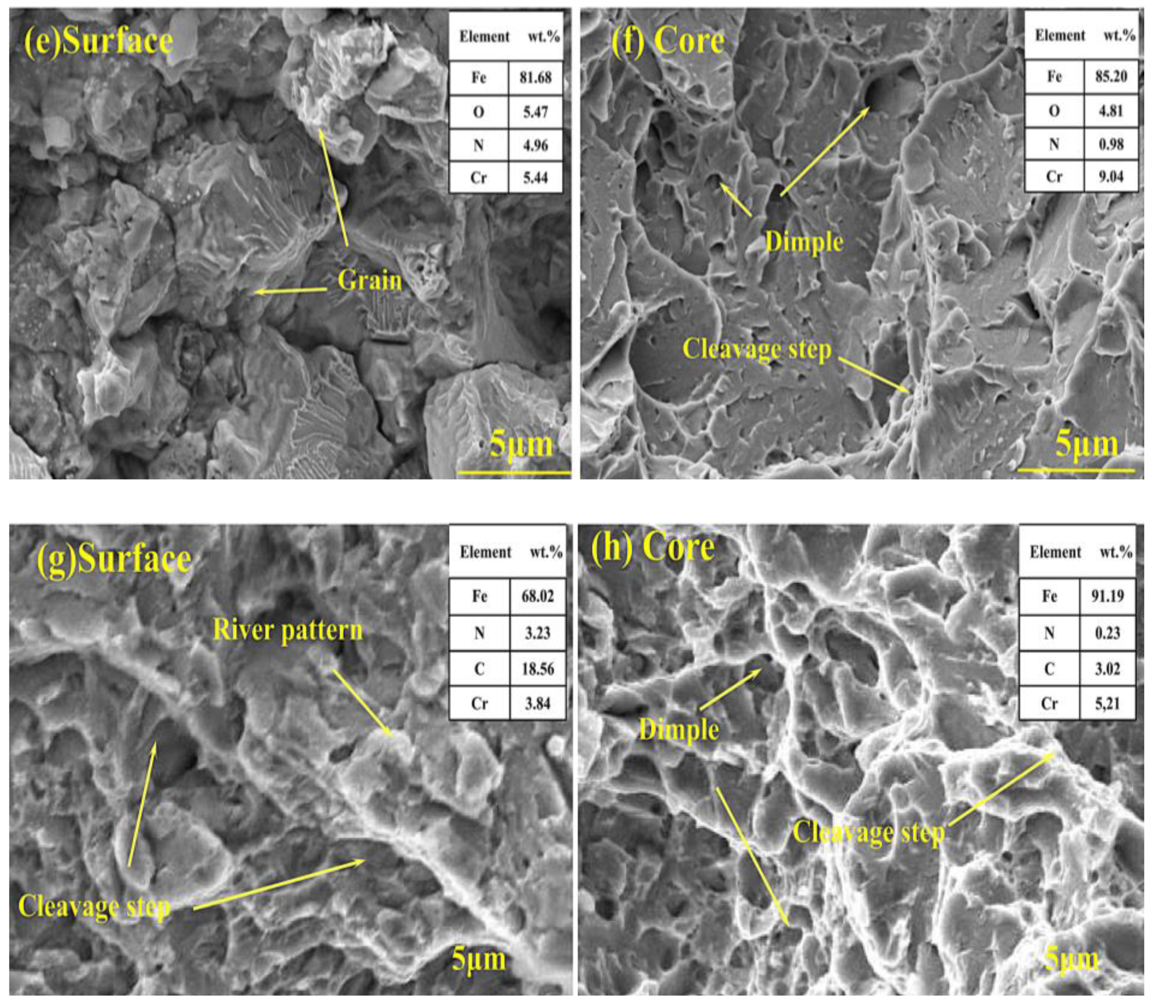 Coatings 14 01165 g010b