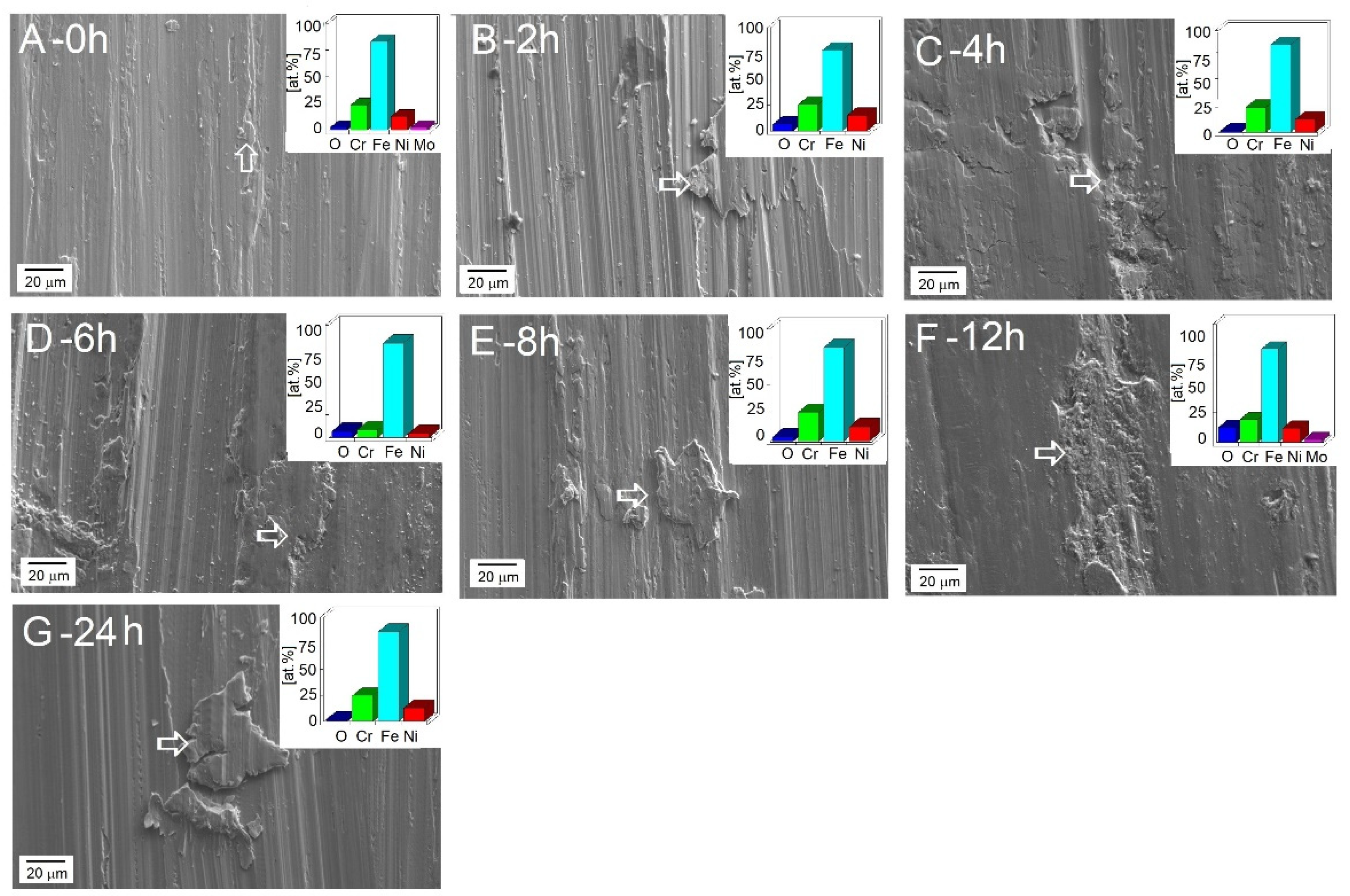 Coatings 14 01167 g006 Coatings 14 01167 g006
