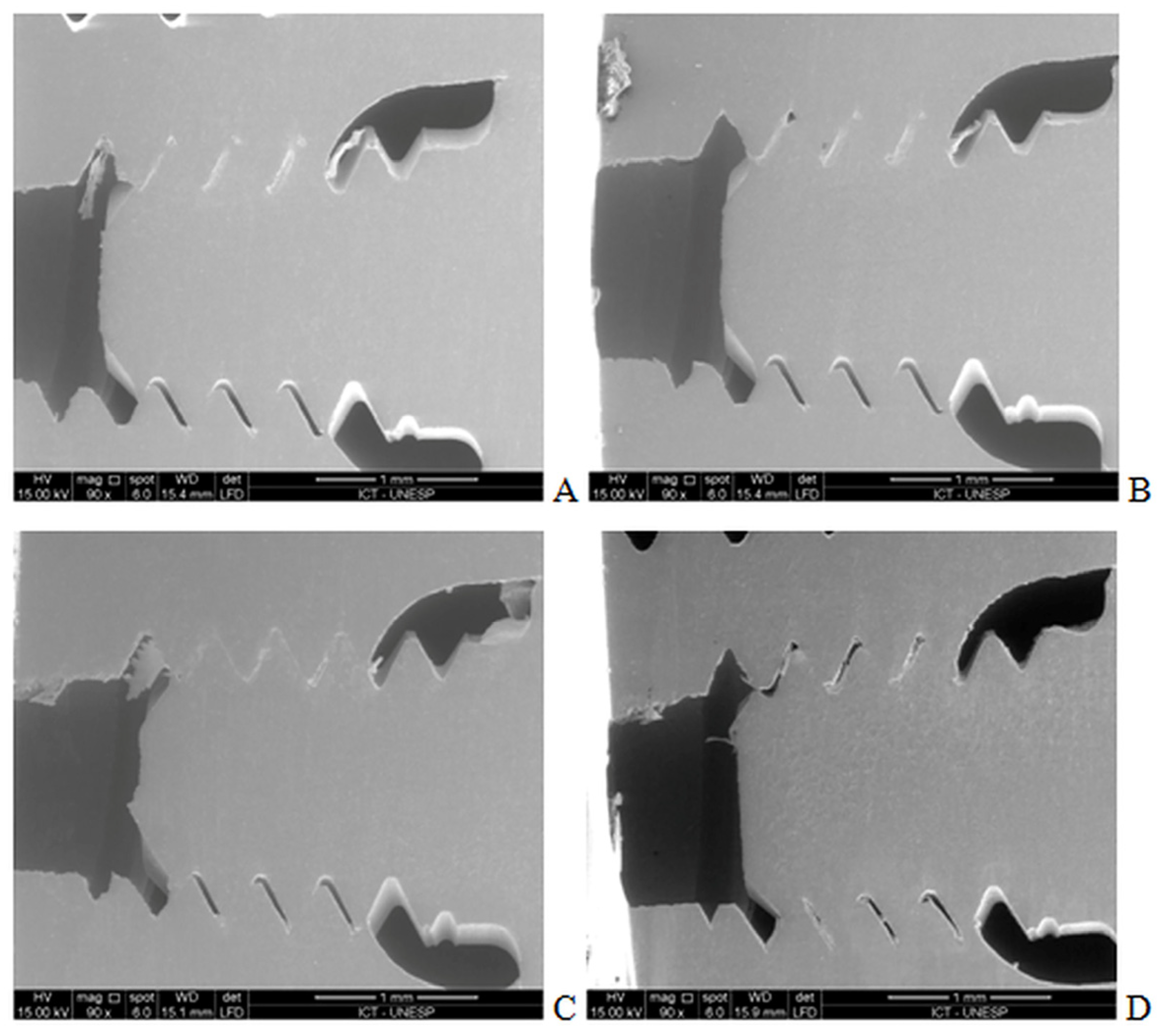 Coatings 14 01168 g002