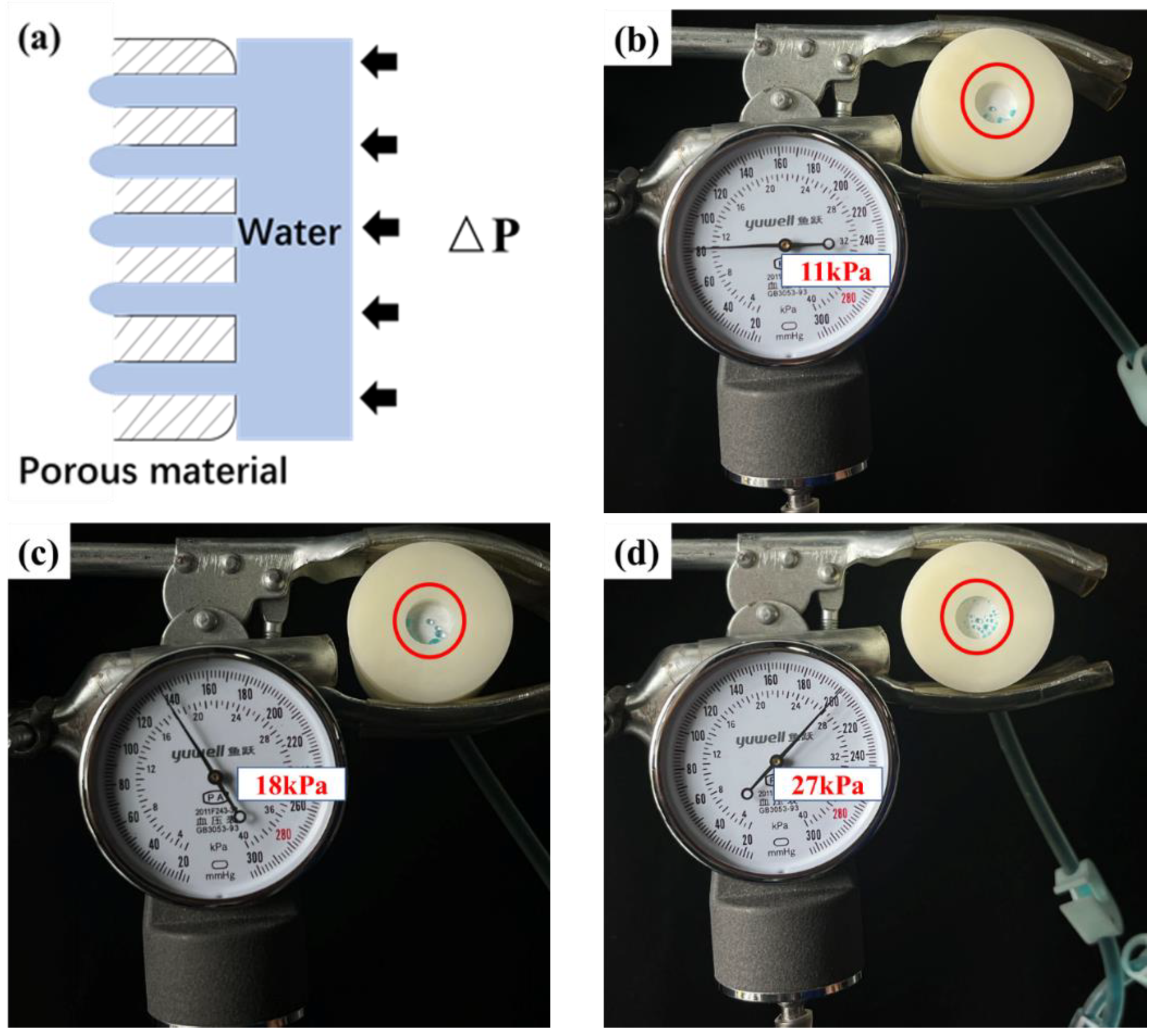 Coatings 14 01176 g011